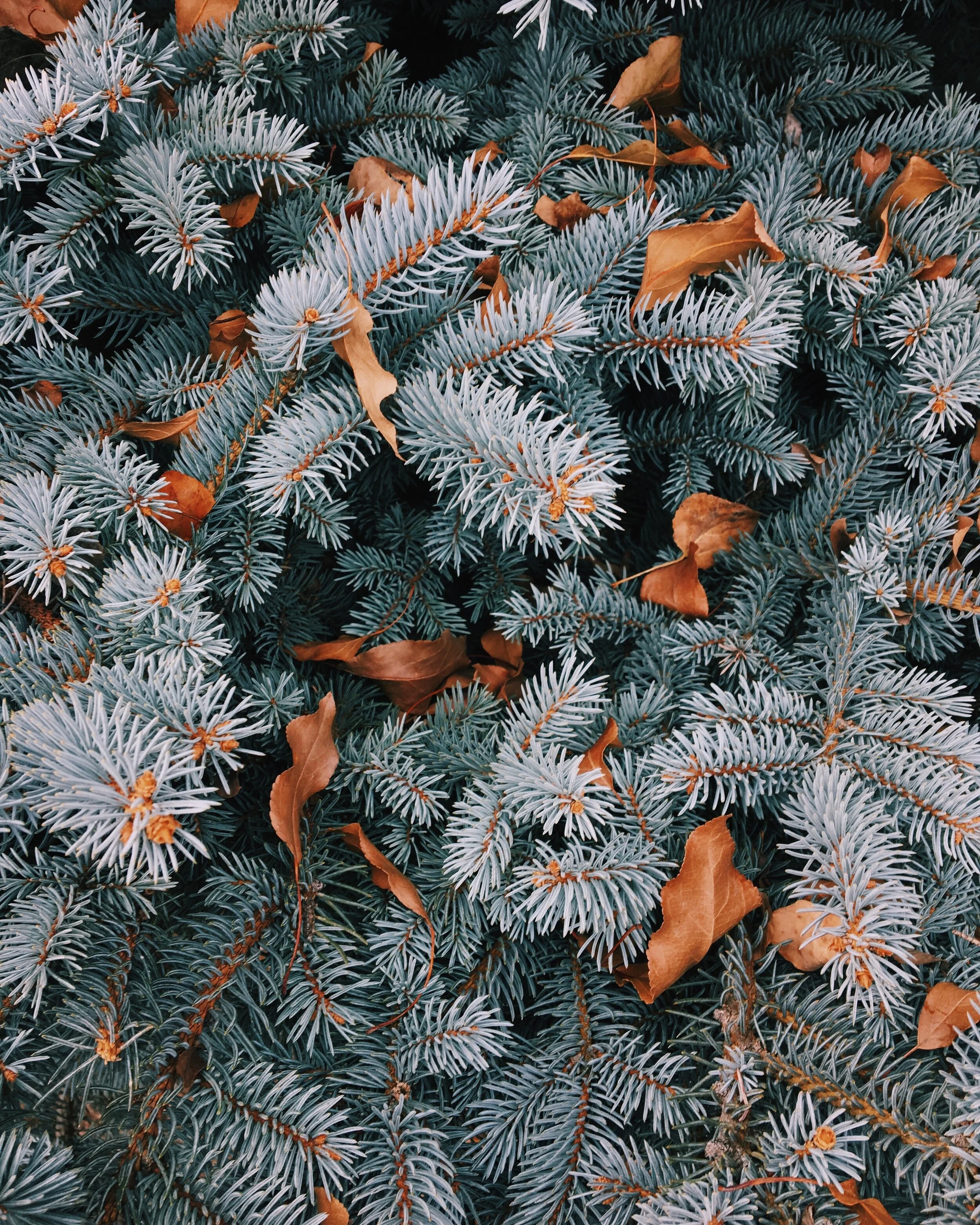 jorge-garhe-LUxB4ebWVfk-unsplash.jpg