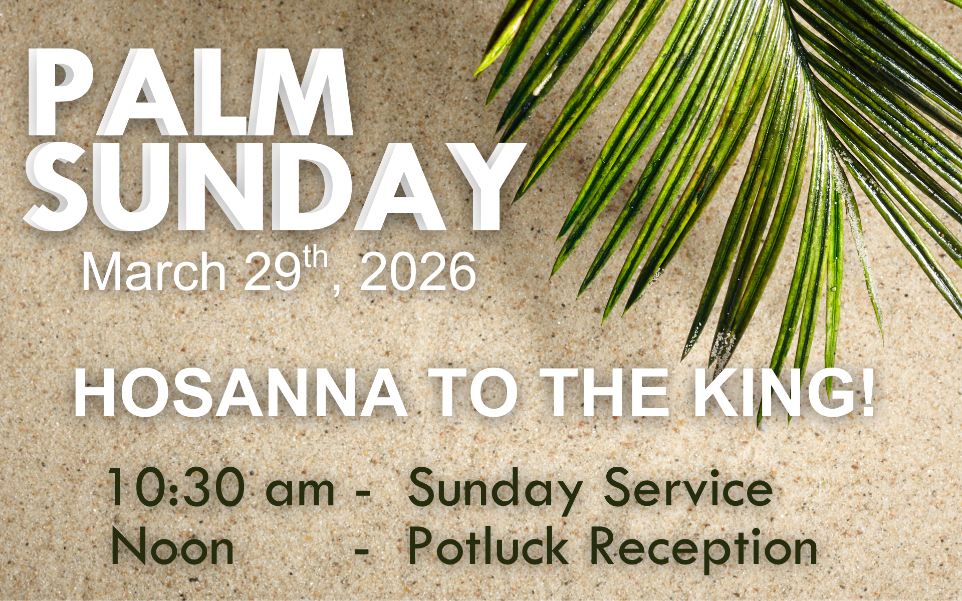 Palm Sun 2026 - details.png