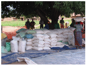mozambique-relief-2007 (6).png