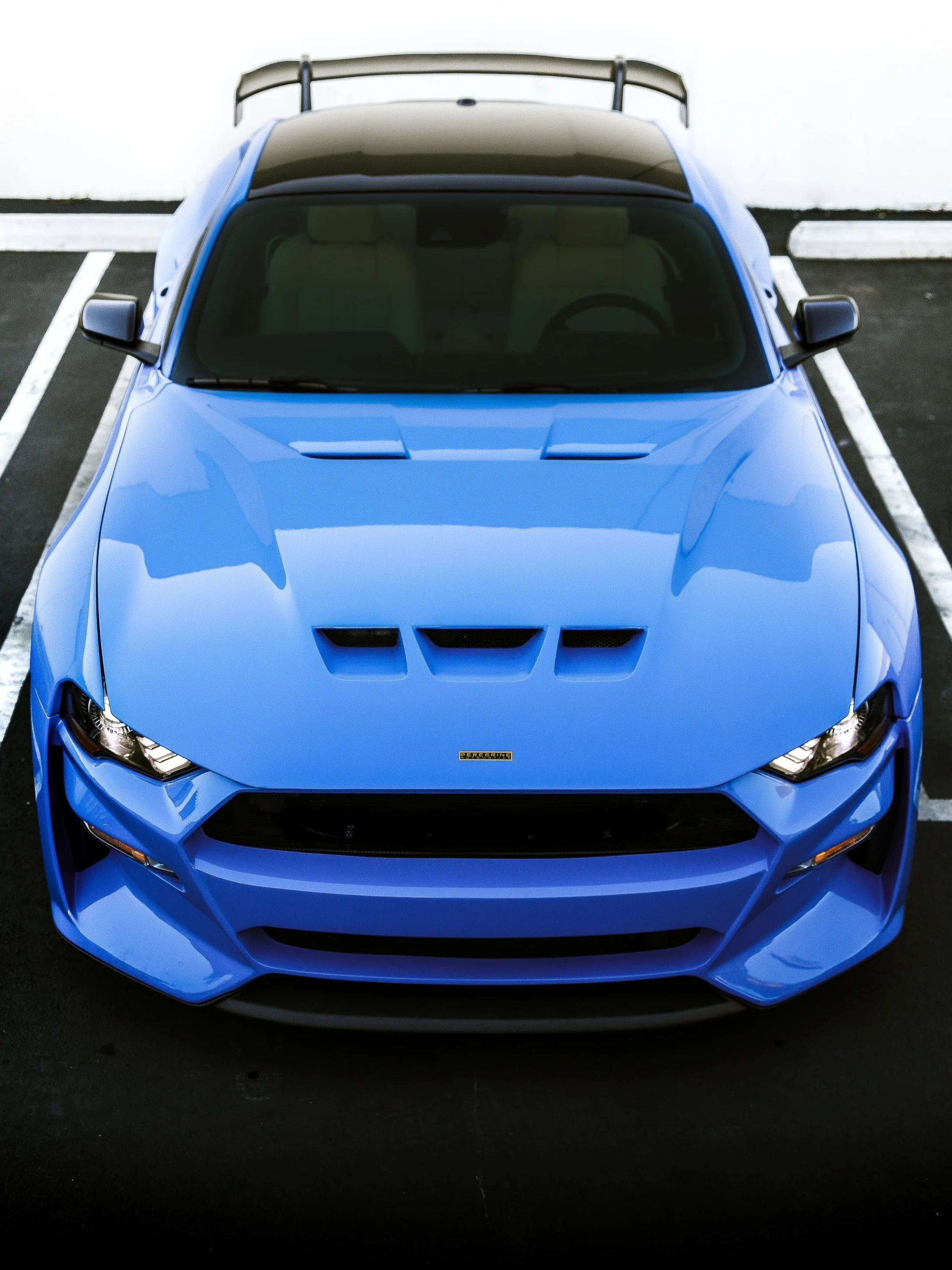 Revenge GT Peregrine Automotive