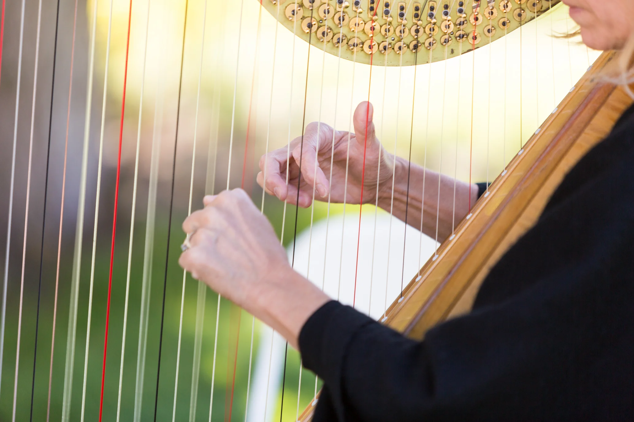 Flute And Harp Wedding Ceremony Music Samples Flute And Strings By Christen Stephens Denver And Colorado Wedding Music