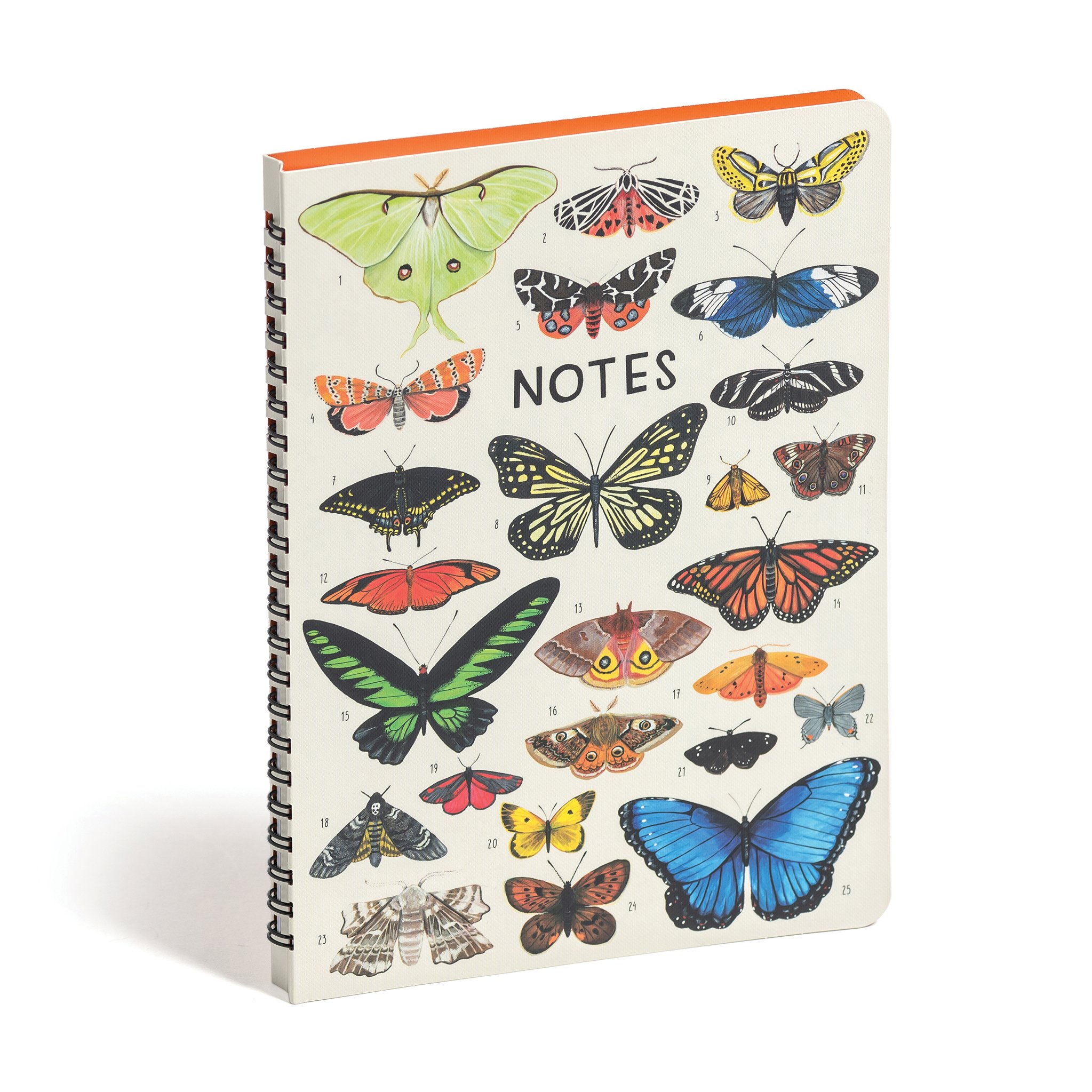 Orders of the Animals Personal Planning Notebook