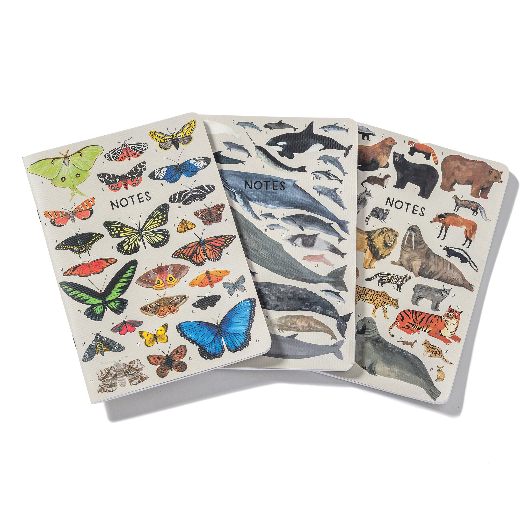 Orders of the Animals 3-Pack Notebook Set