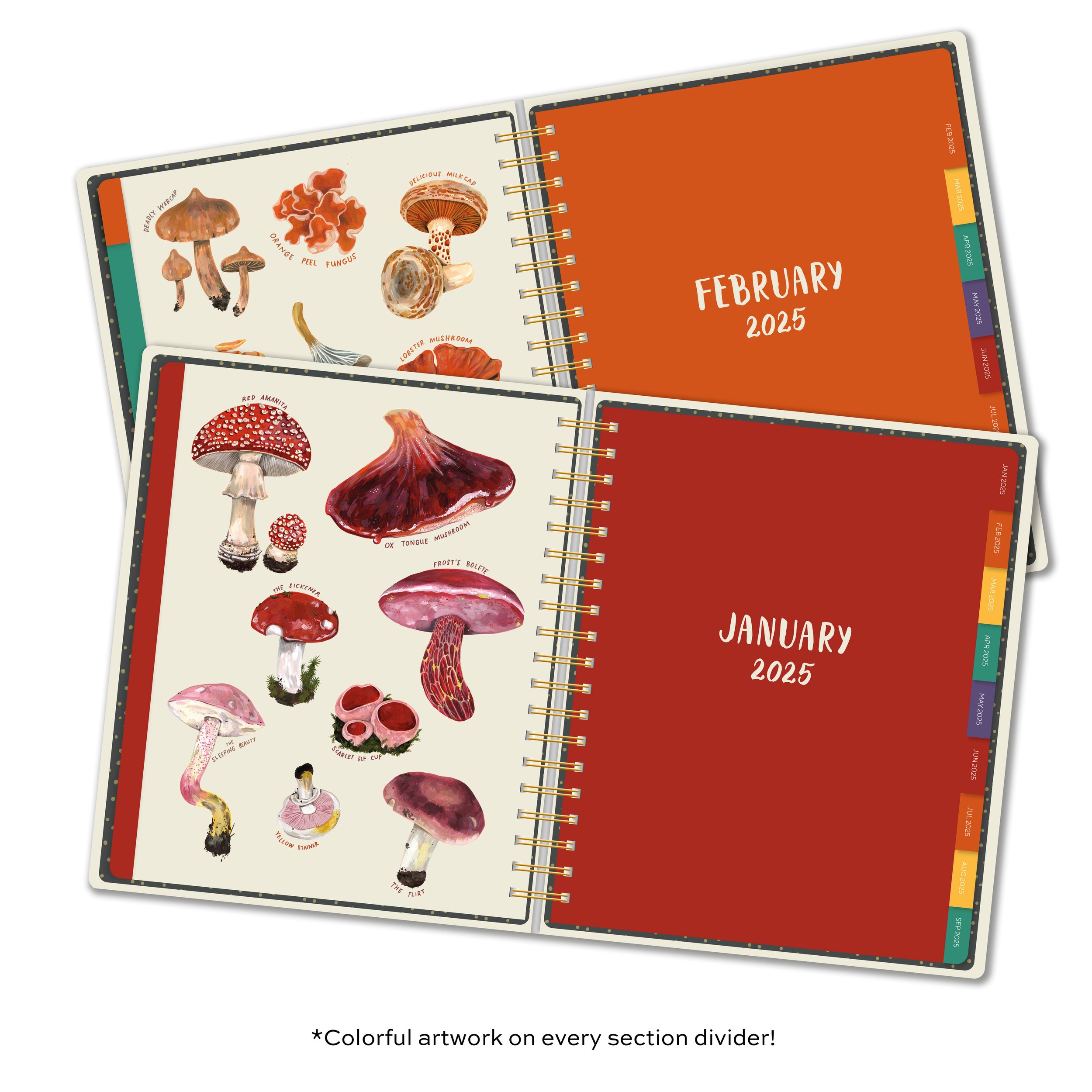CHL-4210 Mushrooms Deluxe Planner Divider Pages.jpg