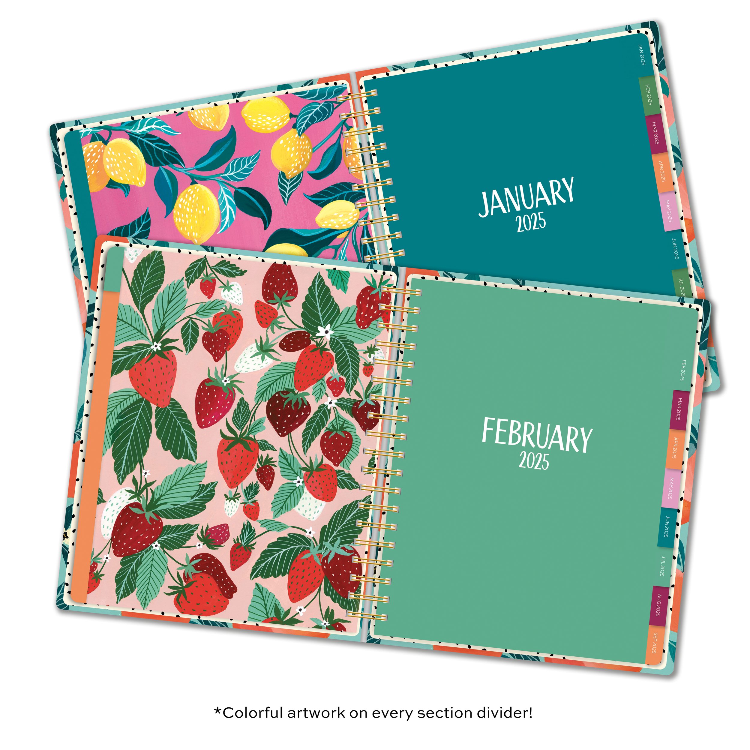 CHL-4206 Fruits_Deluxe Planner Divider Pages.jpg