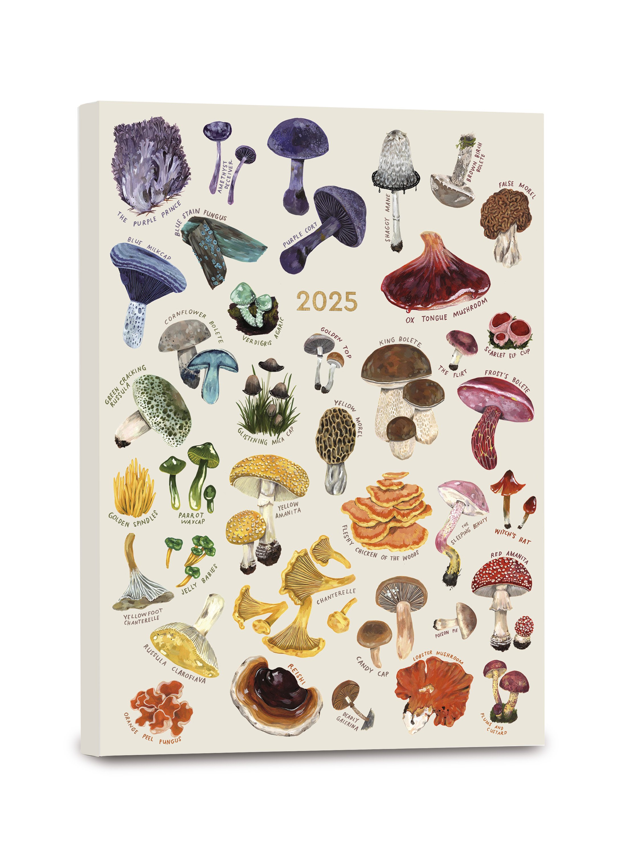 Mushrooms Softcover Planner