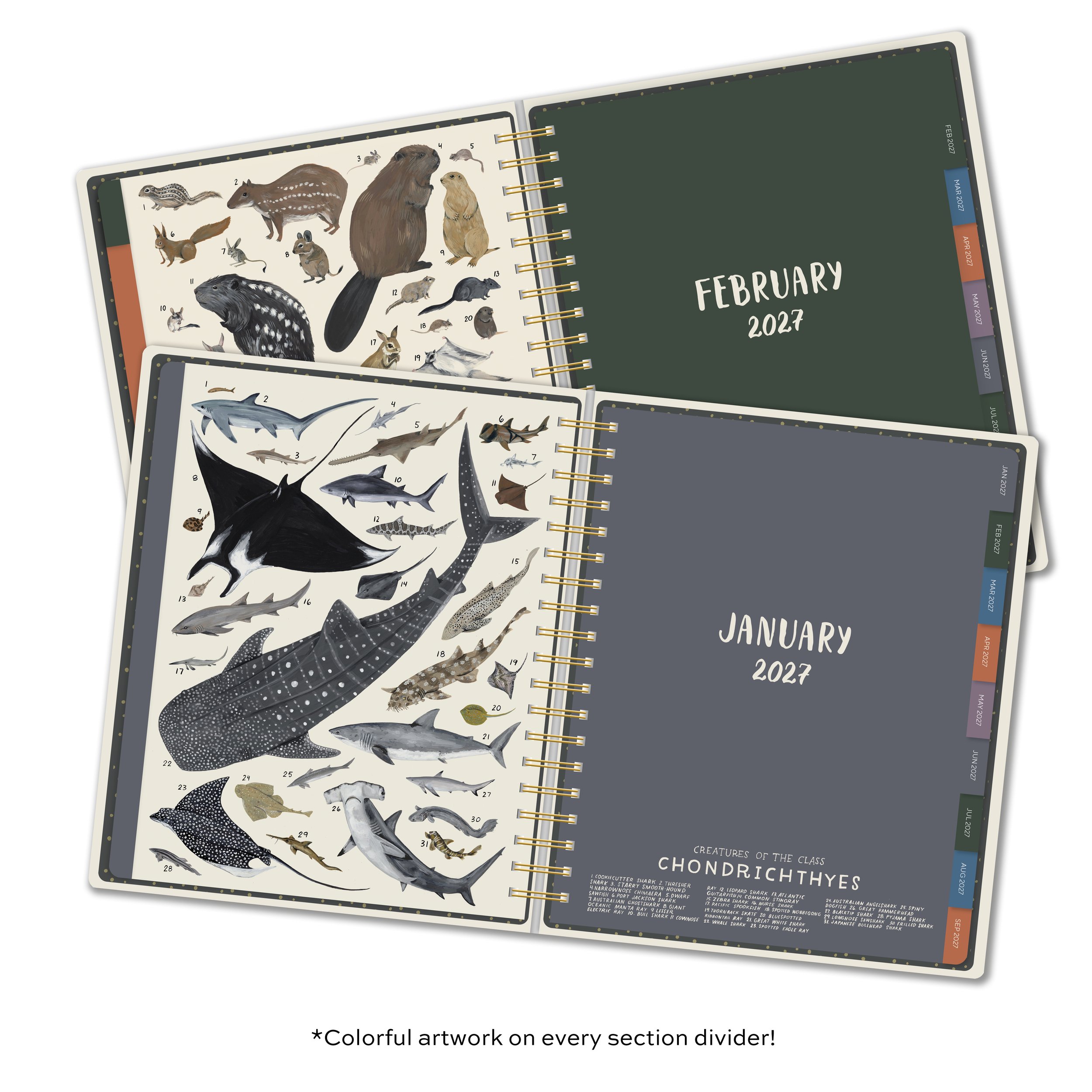 CHL-6284 Orders of the Animals Deluxe Planner Divider Pages.jpg
