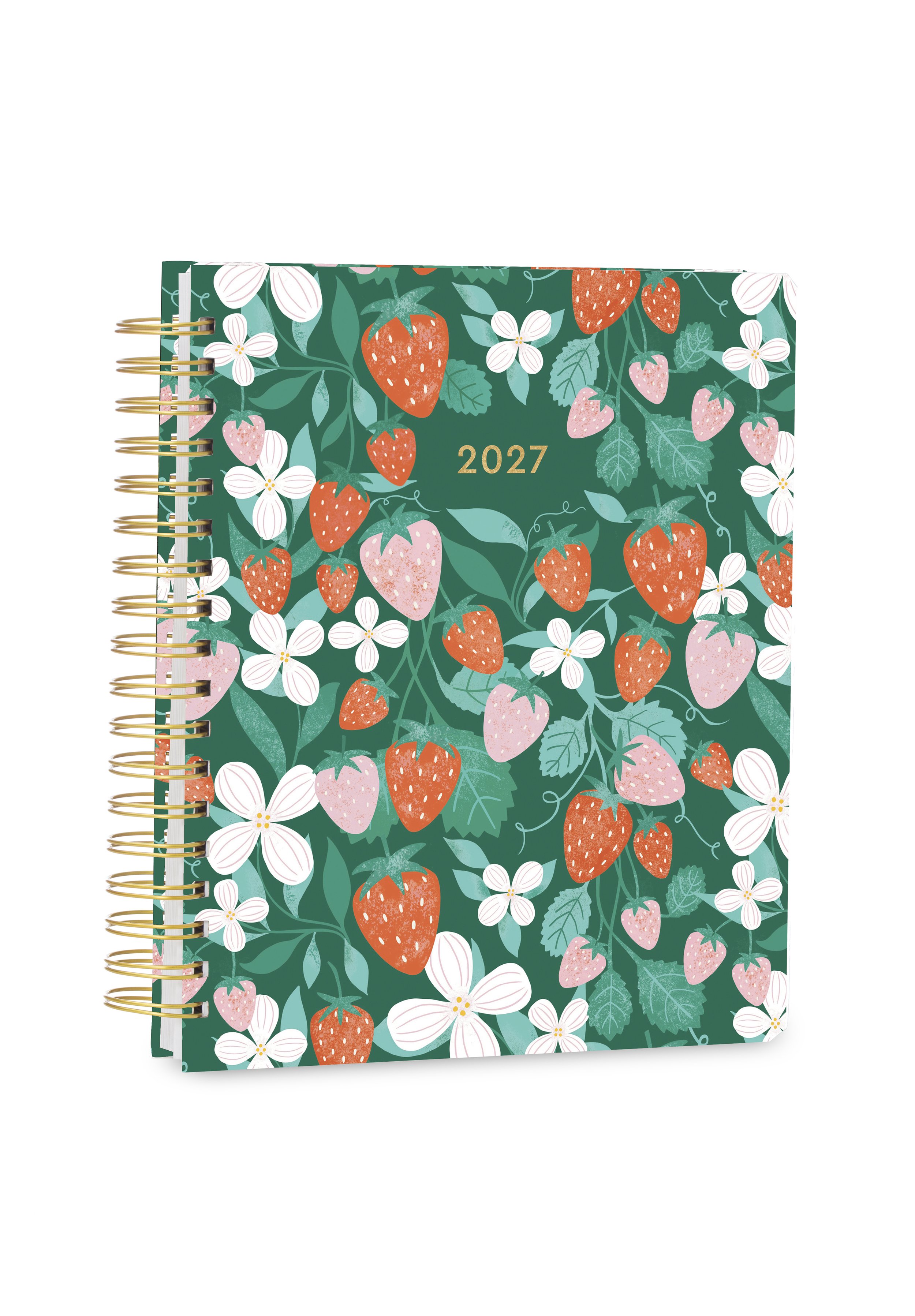 3D CHL-6286 FRUITS_Deluxe Hardcover 2027_RGB.jpg