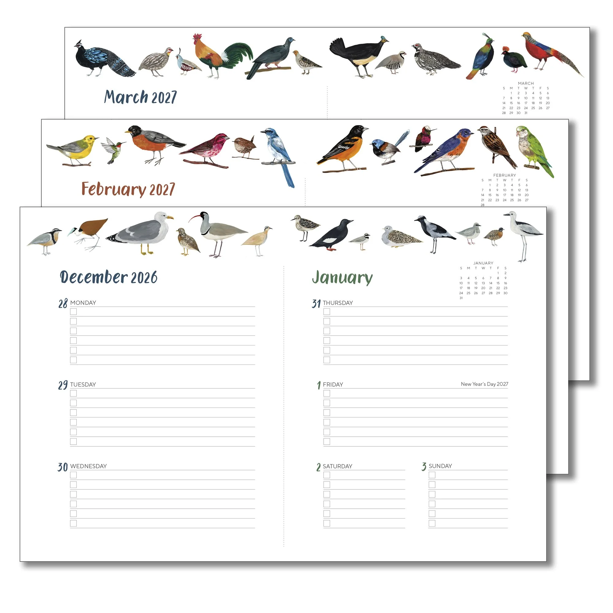 CHZ-6290 Orders of the Animals Softcover Interior Layouts.jpg