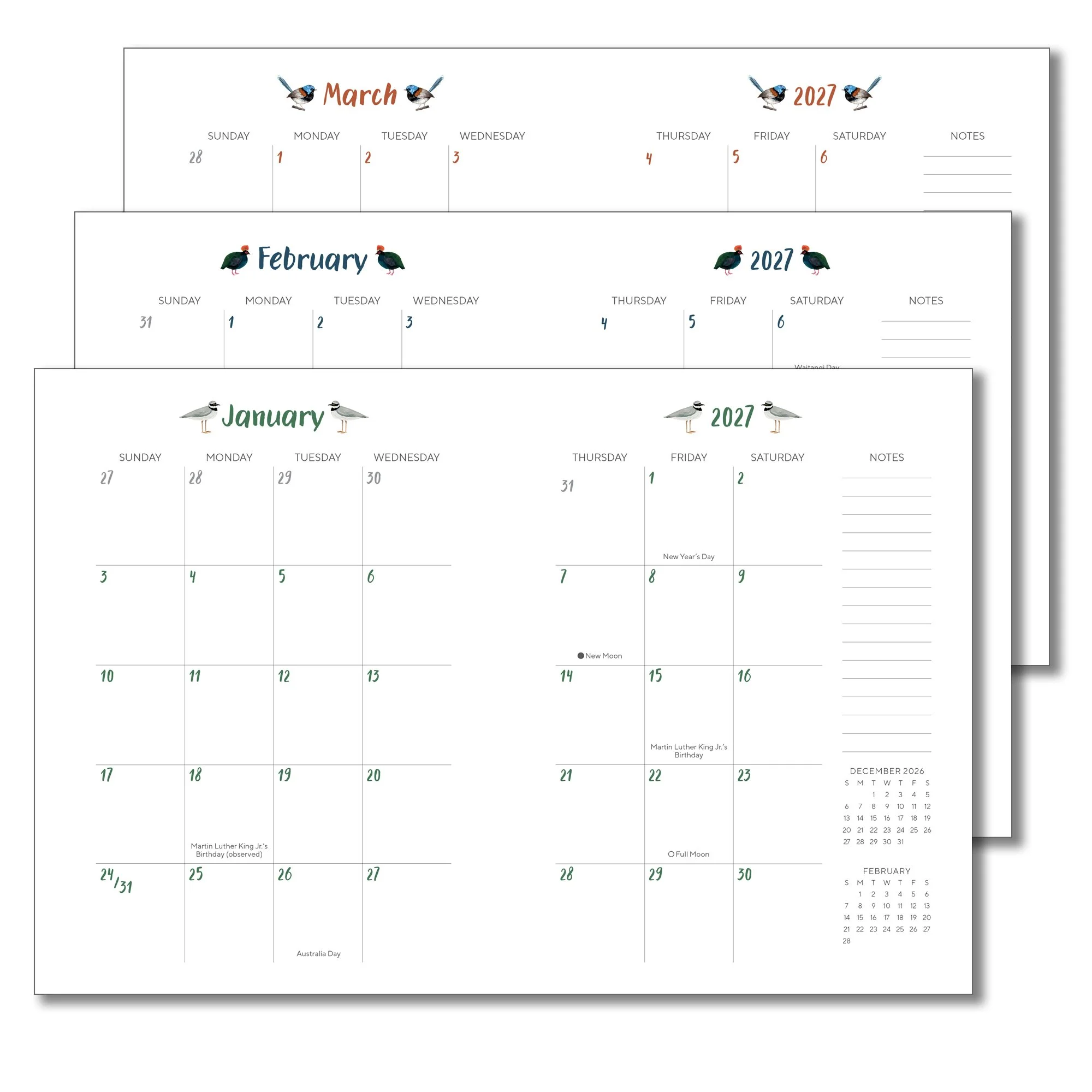 CHZ-6290 Orders of the Animals Softcover Monthly Layouts.jpg