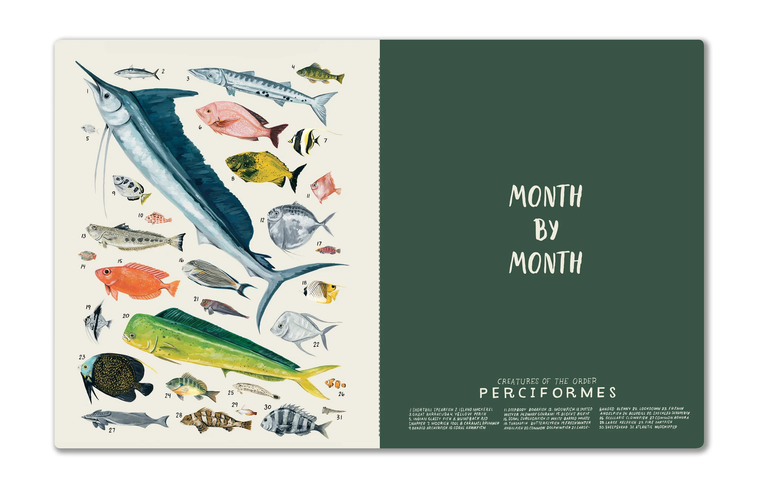 CHM-6280 Orders of the Animals Monthly Planner Divider Spread.jpg