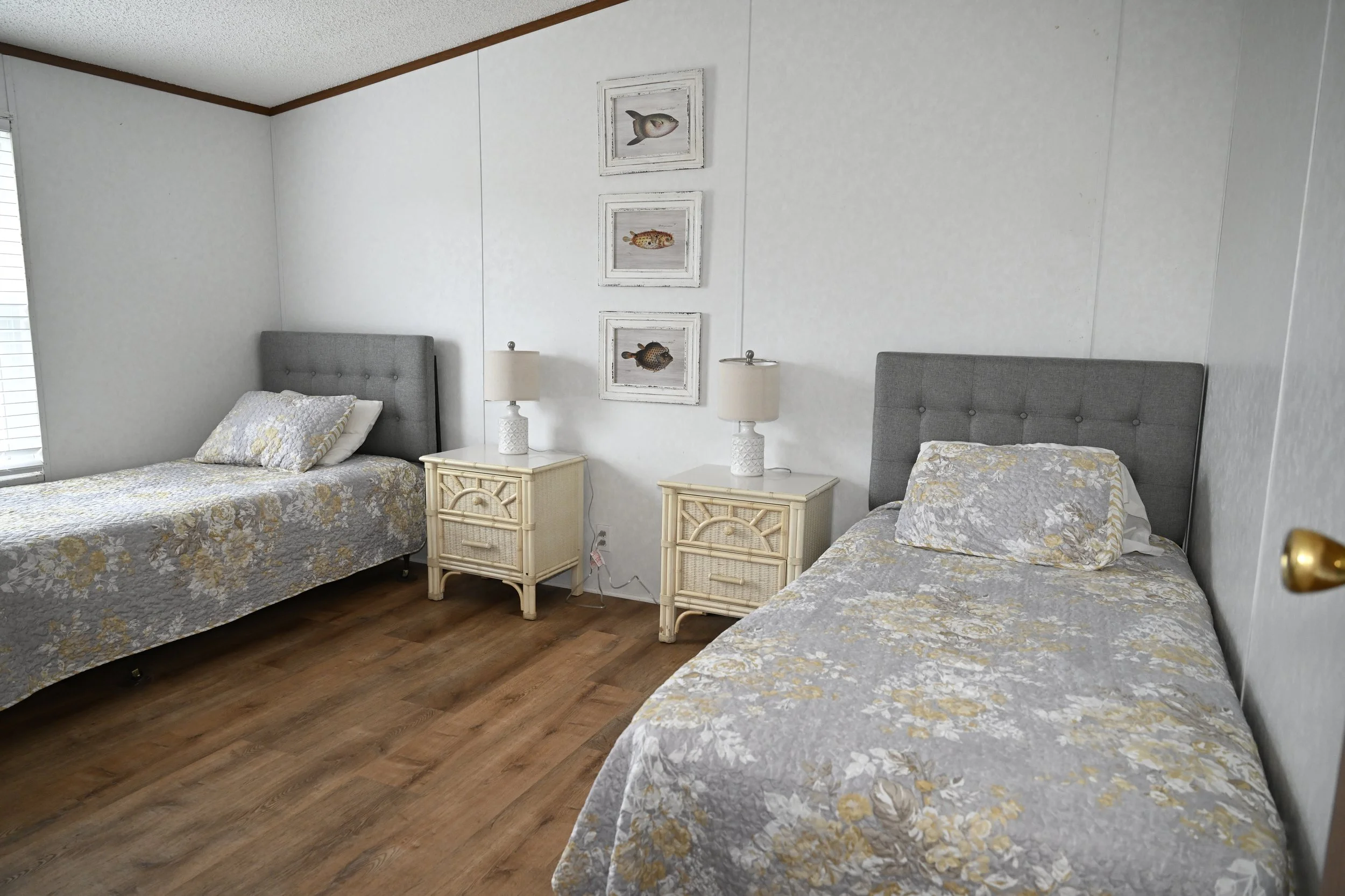 _DSC5553 - Copy - Copy - Copy - Copy - Copy.JPG