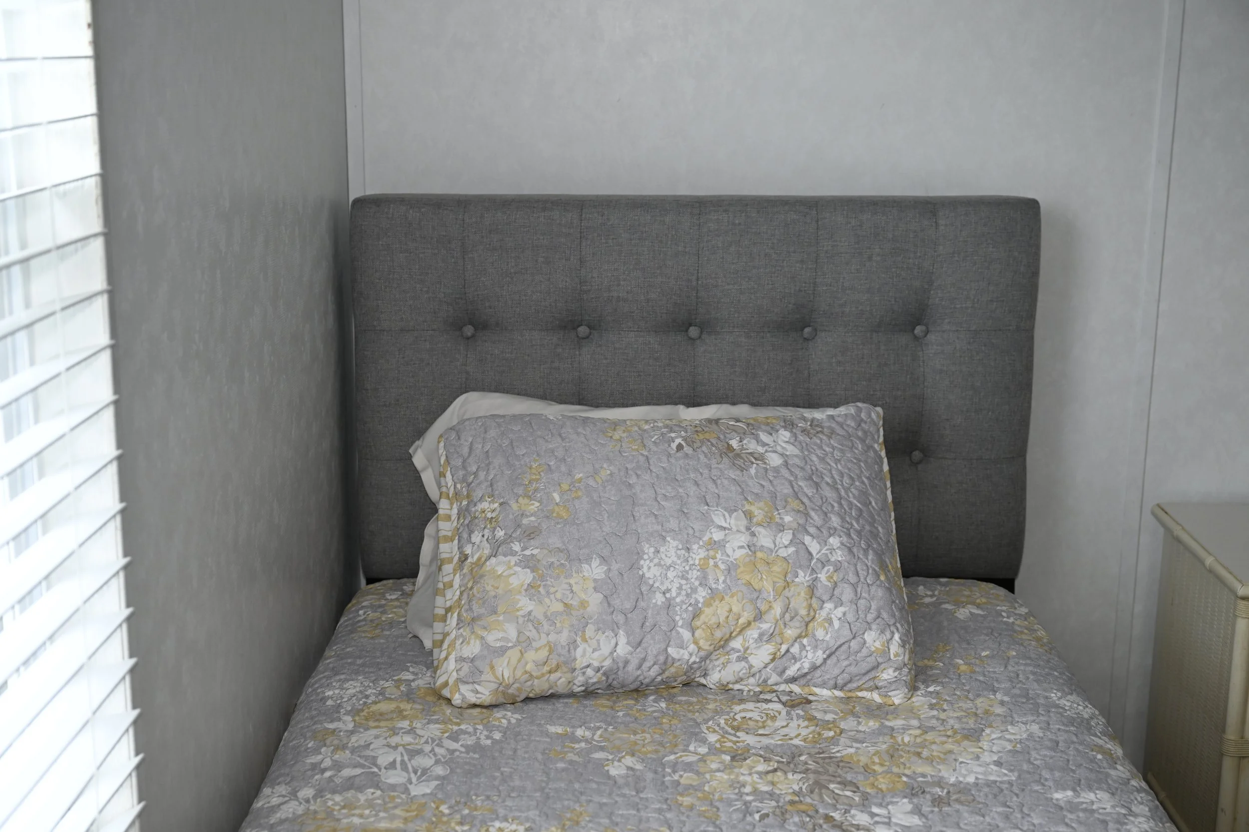 _DSC5561 - Copy - Copy.JPG