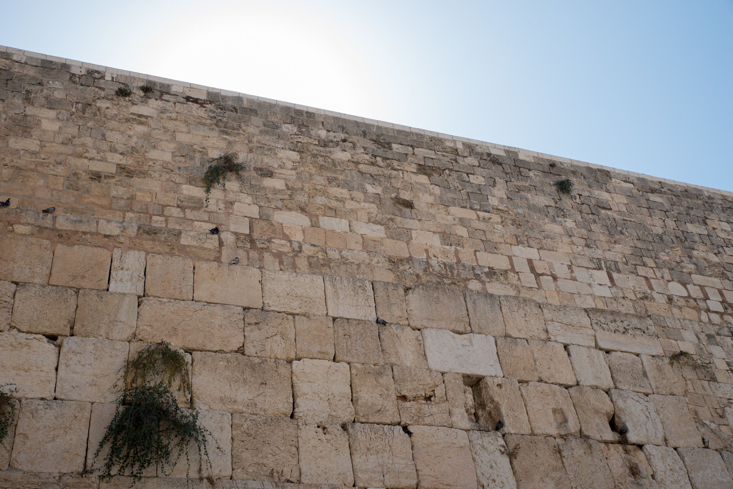 Israel Day Thirteen
