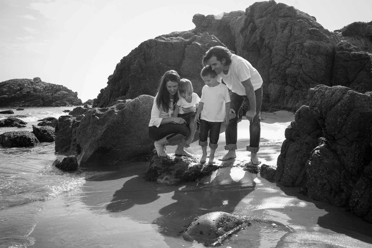 Leo Carrillo beach family portraits