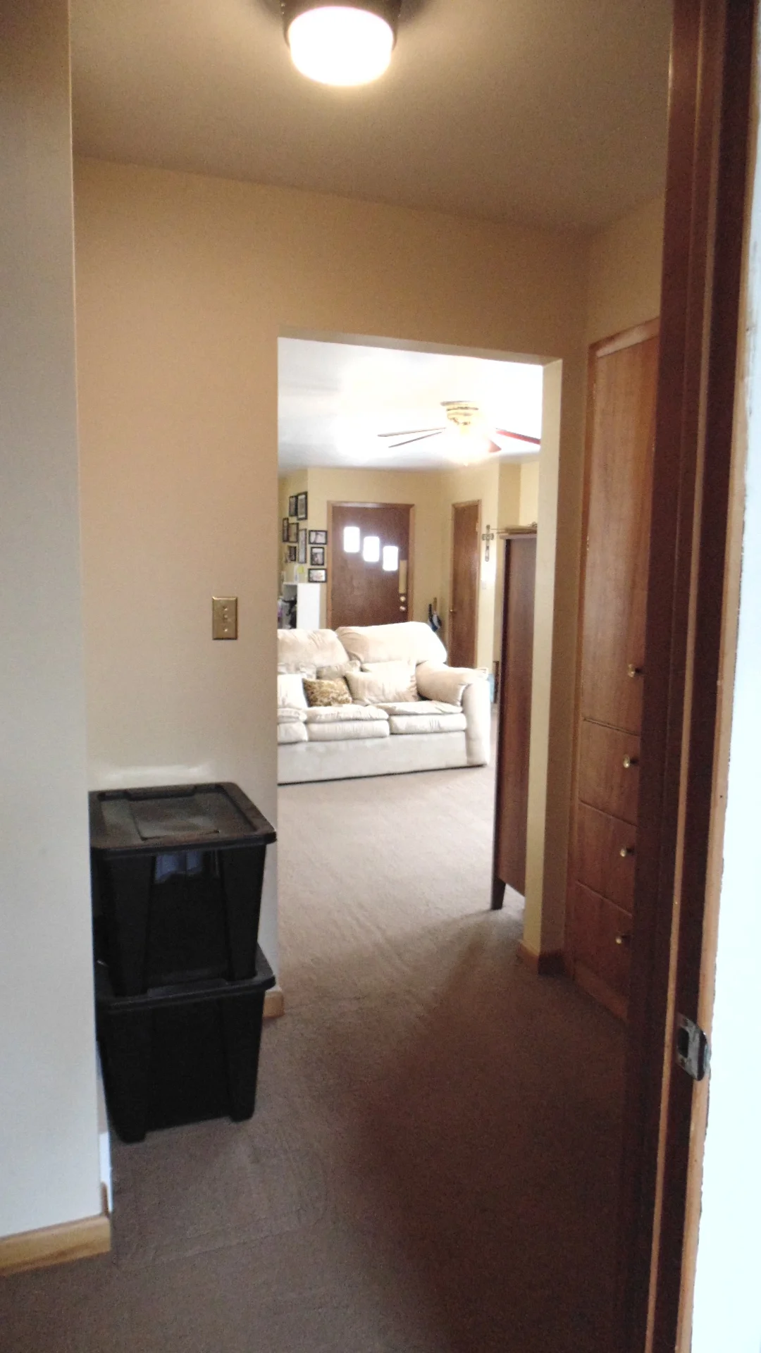 Hallway Looking to Front Entry.JPG