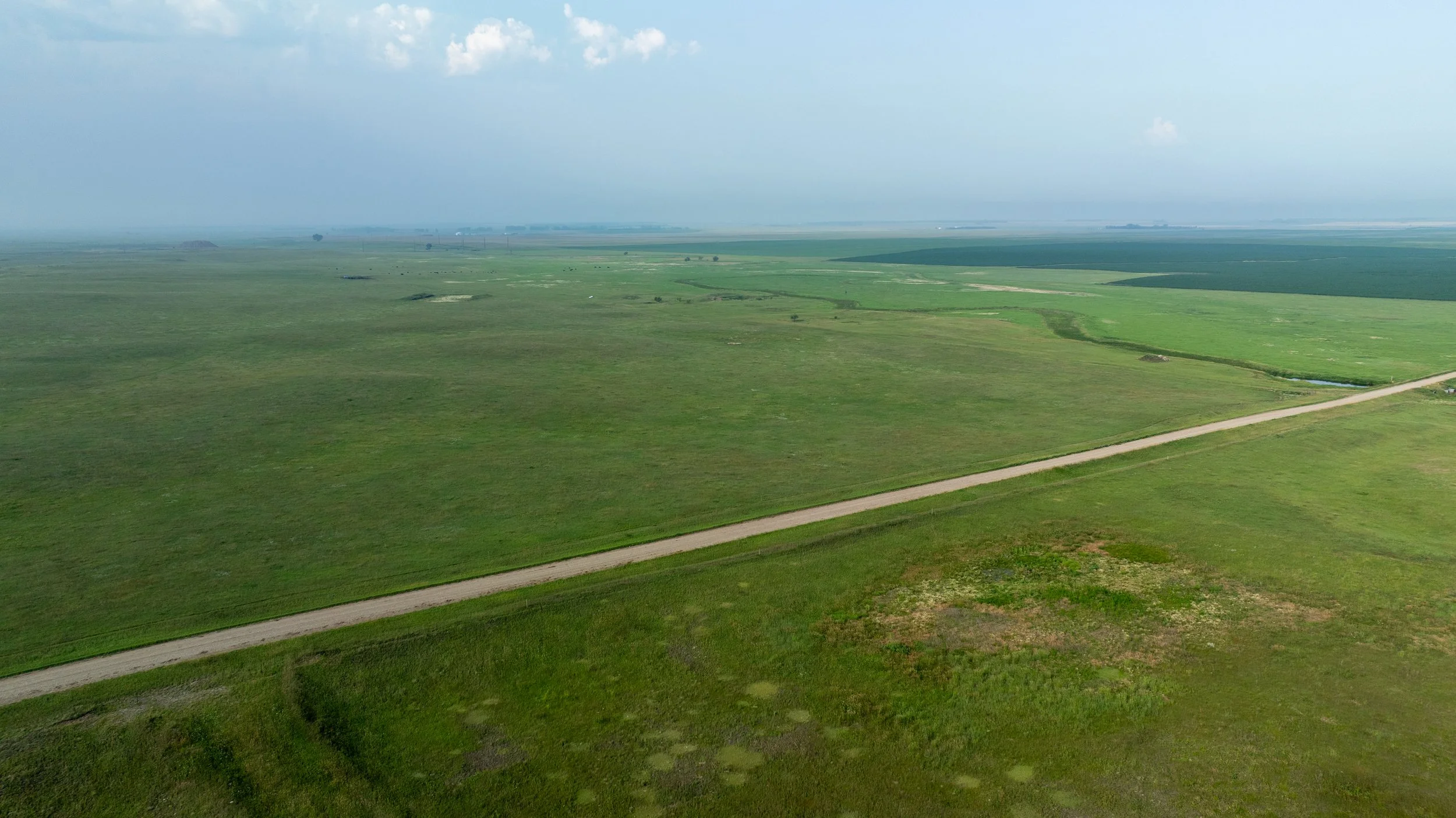 DJI_0752.jpg