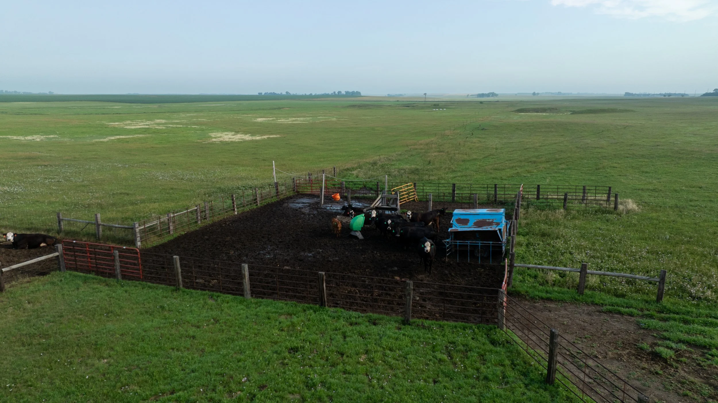 DJI_0758.jpg