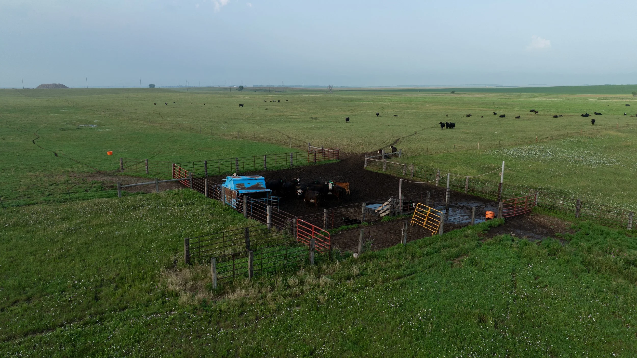 DJI_0761.jpg