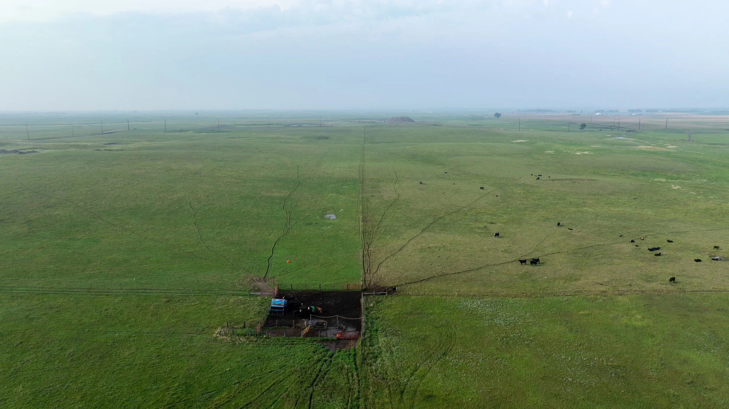 DJI_0763.jpg