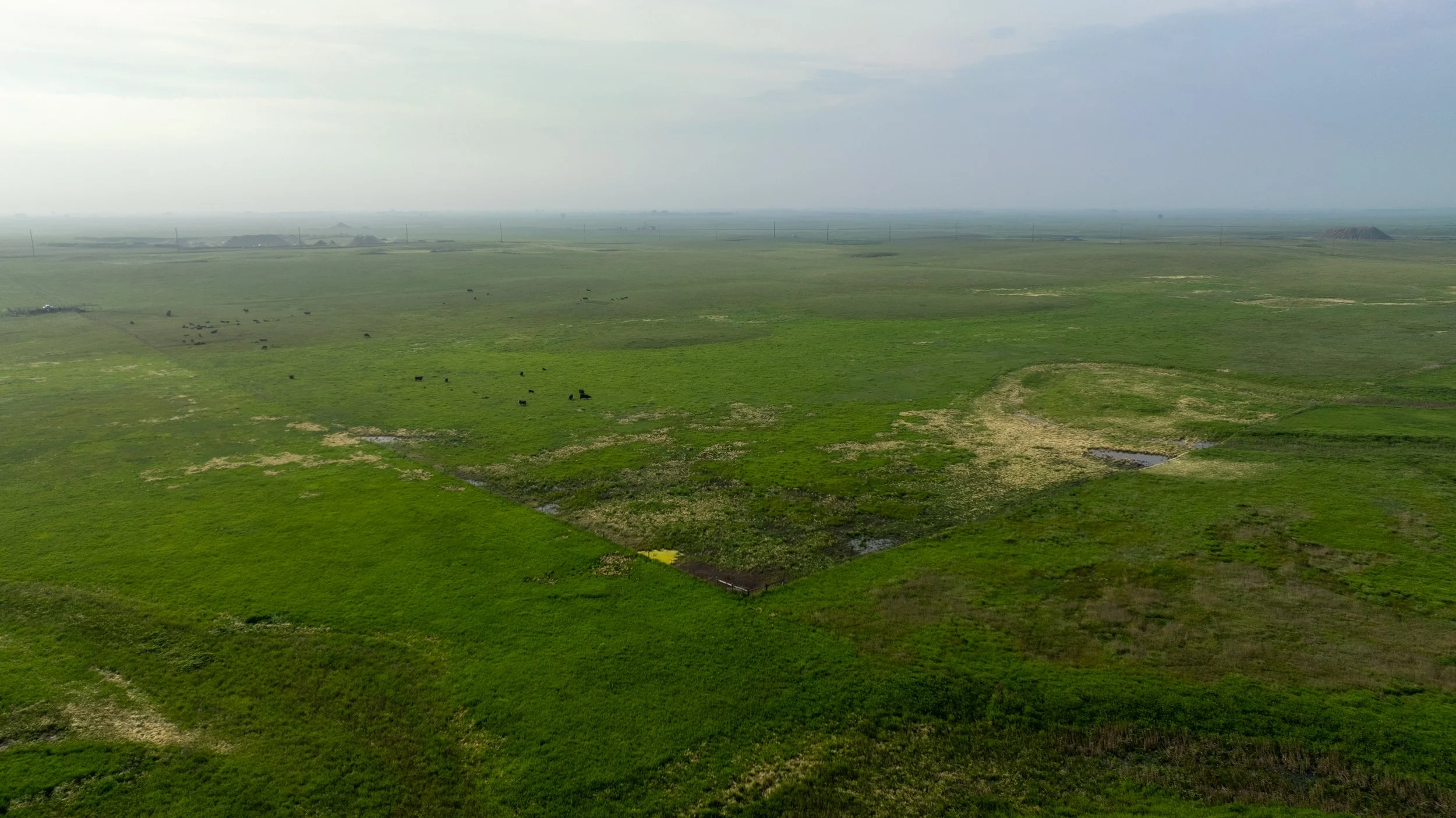 DJI_0765.jpg