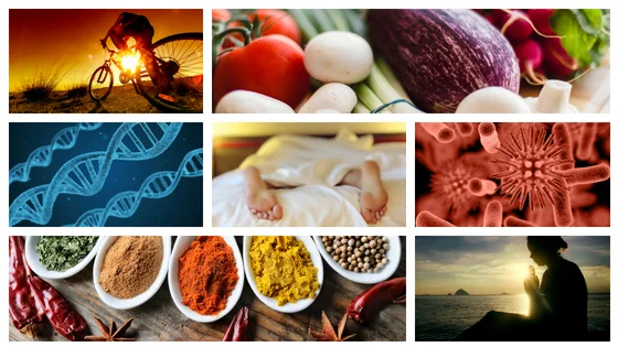 Functional Medicine.jpg