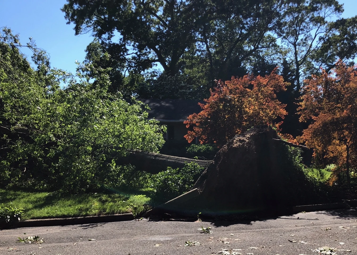 You Get To Decide How Your Life Goes (Even During The Most Difficult Times)