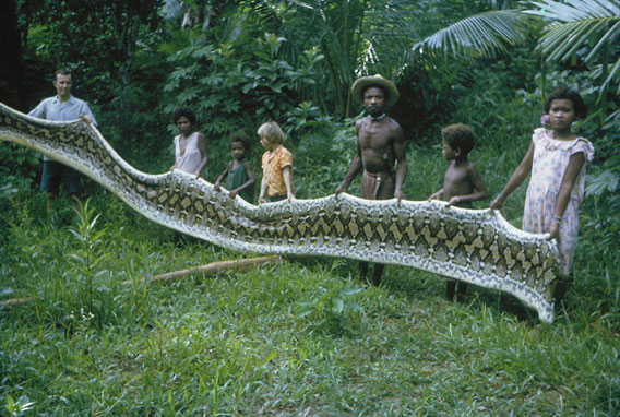 Before the encroachment of the modern world, the Agtas were hunter and gatherers. They ate wild boar, monkey and deer... and sometimes even python meat. My uncle Kekek (the man in the middle, standing next to my sister, Rachel) shot this snake in 1970. It was almost 23 feet long... and we all ate python meat for days. His granddaughter, is now one of our students, and the story of this snake is still remembered.