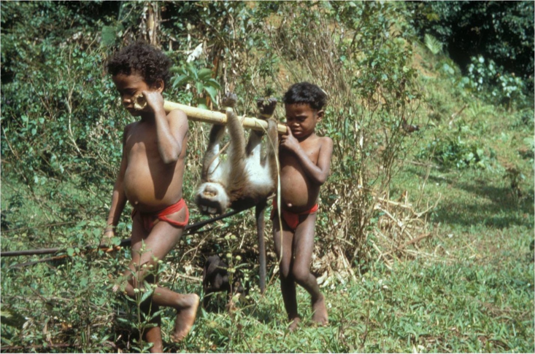 Sometimes monkeys were pets and sometimes they were dinner... this one wasn't a pet.... Bonding and Marning were two of my childhood friends. Bonding died when we were about 8 and Marning was murdered when we were teenagers.