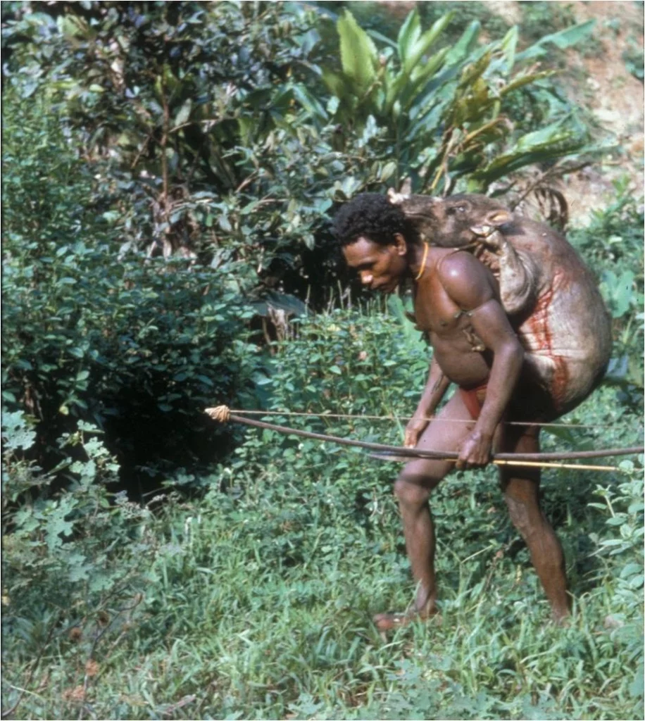 This is called "Piggy back". Uncle Eliden was one of the first Agta followers of Jesus. He worked for years helping my dad translate the Bible into the Agta language.