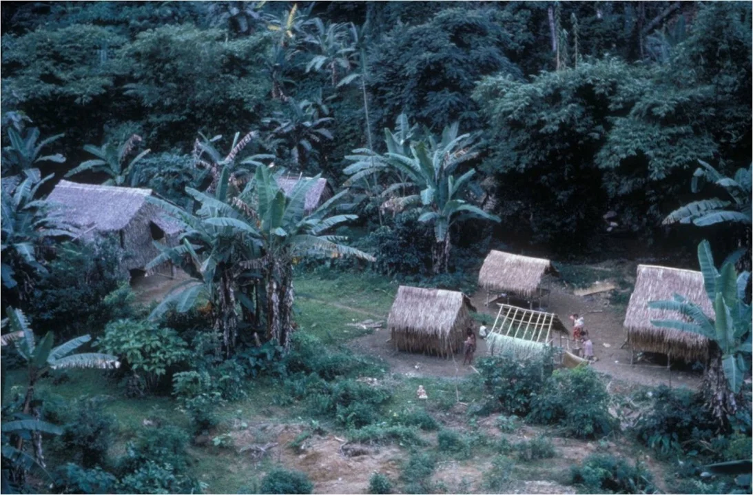 I grew up in the Cozo village. At that time Agta villages were usually less than four or five houses...