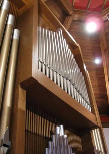 organ.jpg