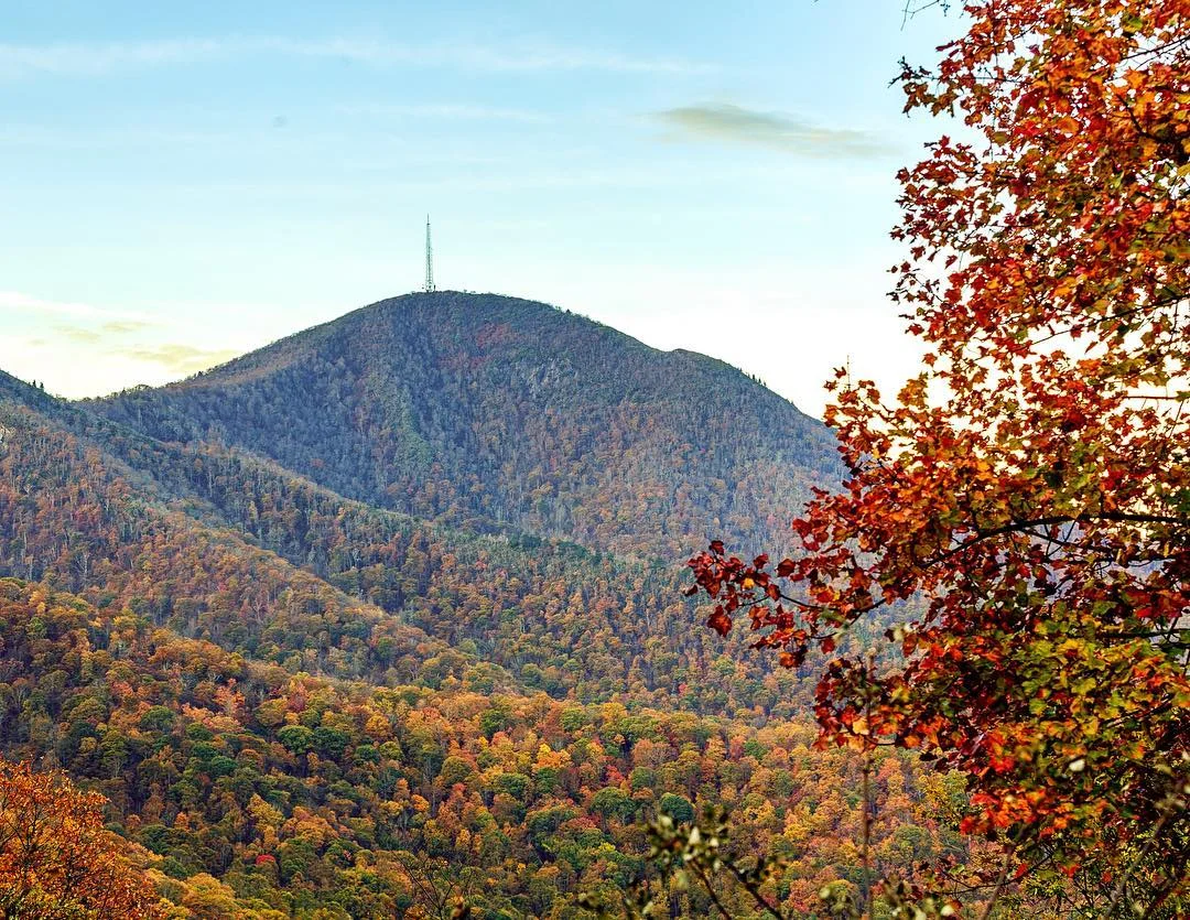 Then Moses went up from the plains of Moab to Mount Nebo, to the top of Pisgah, which is opposite Jericho, and the Lord showed him the whole land. Deuteronomy 34:1