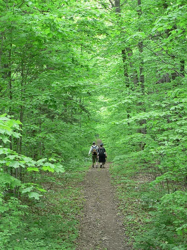 Hiking with Fr. Bill