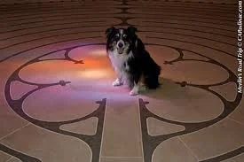 Blessing of the Animals - October 6