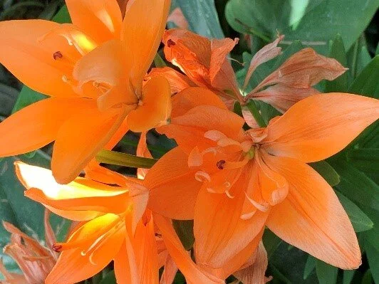 Children’s Formation Lessons for Easter Season