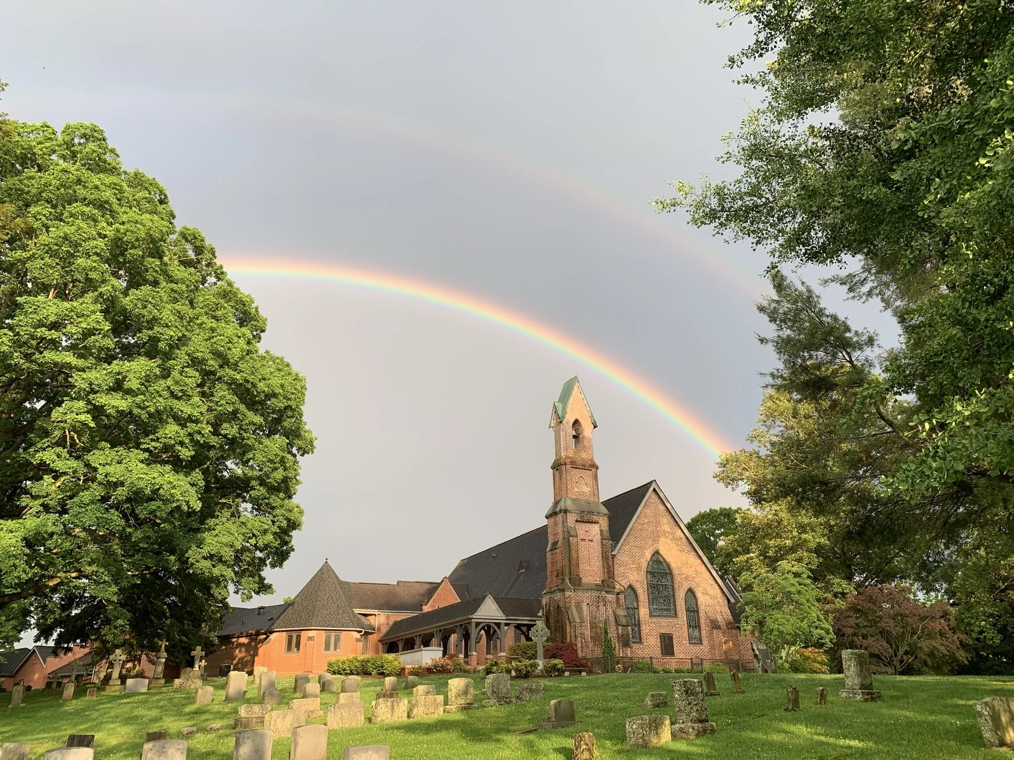Blessing of the Animals on October 8