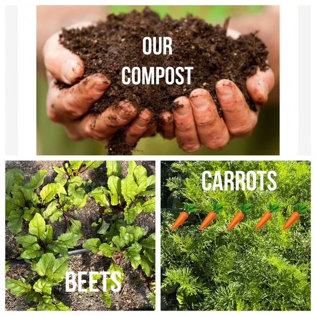 IMG_9895.JPG