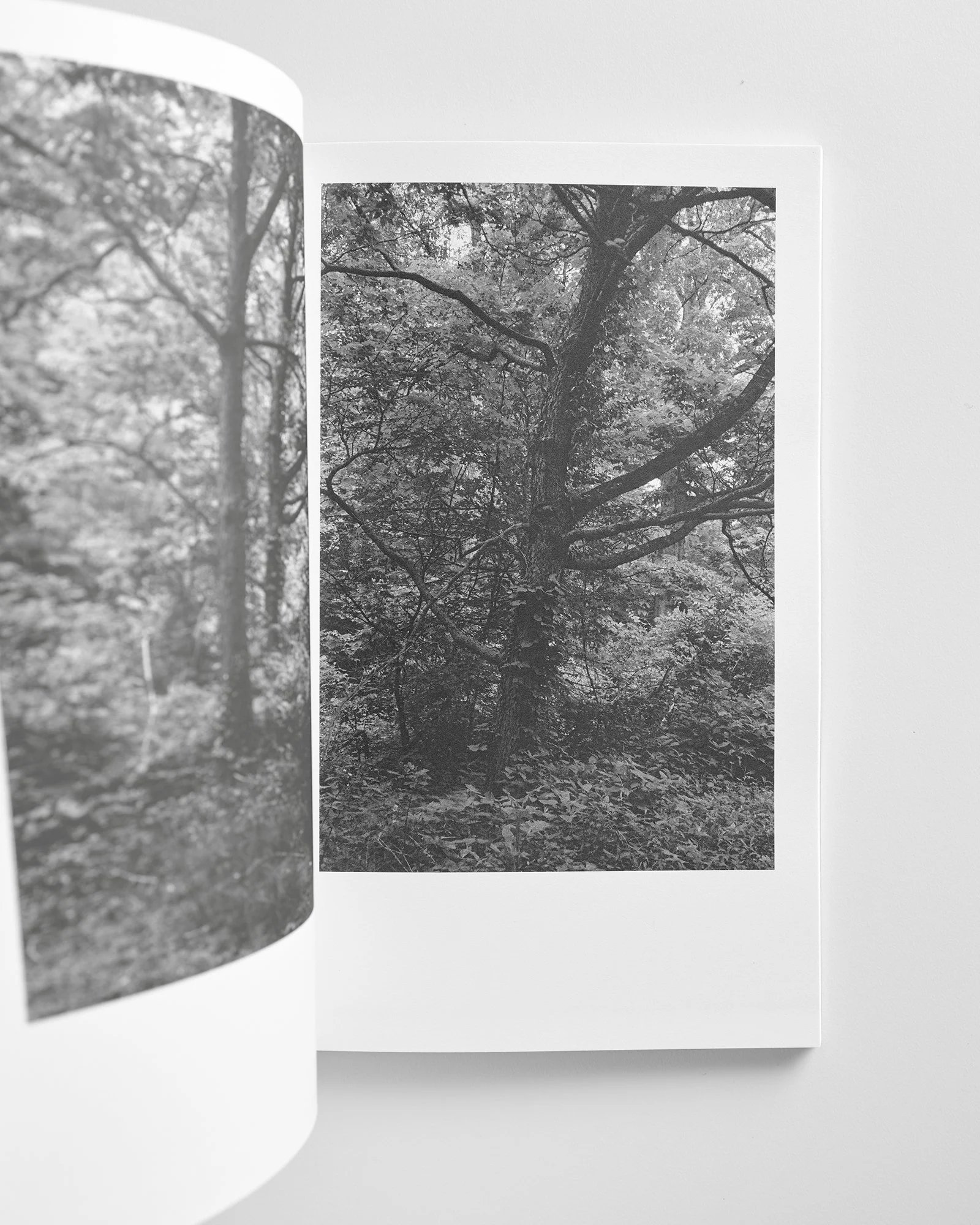 Berg_Spring_Book_05 copy.jpg