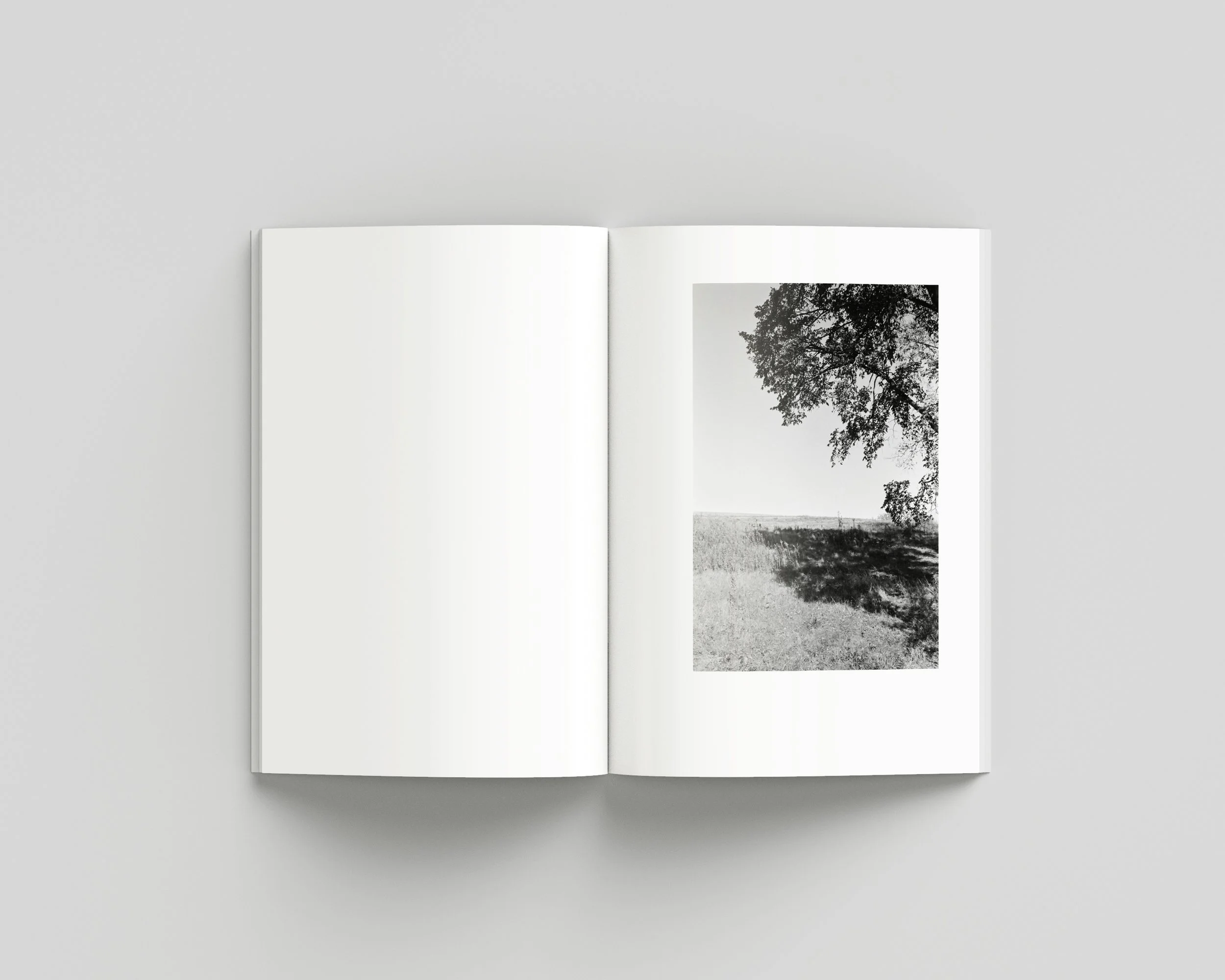 SUMMER_05_INNER copy.jpg