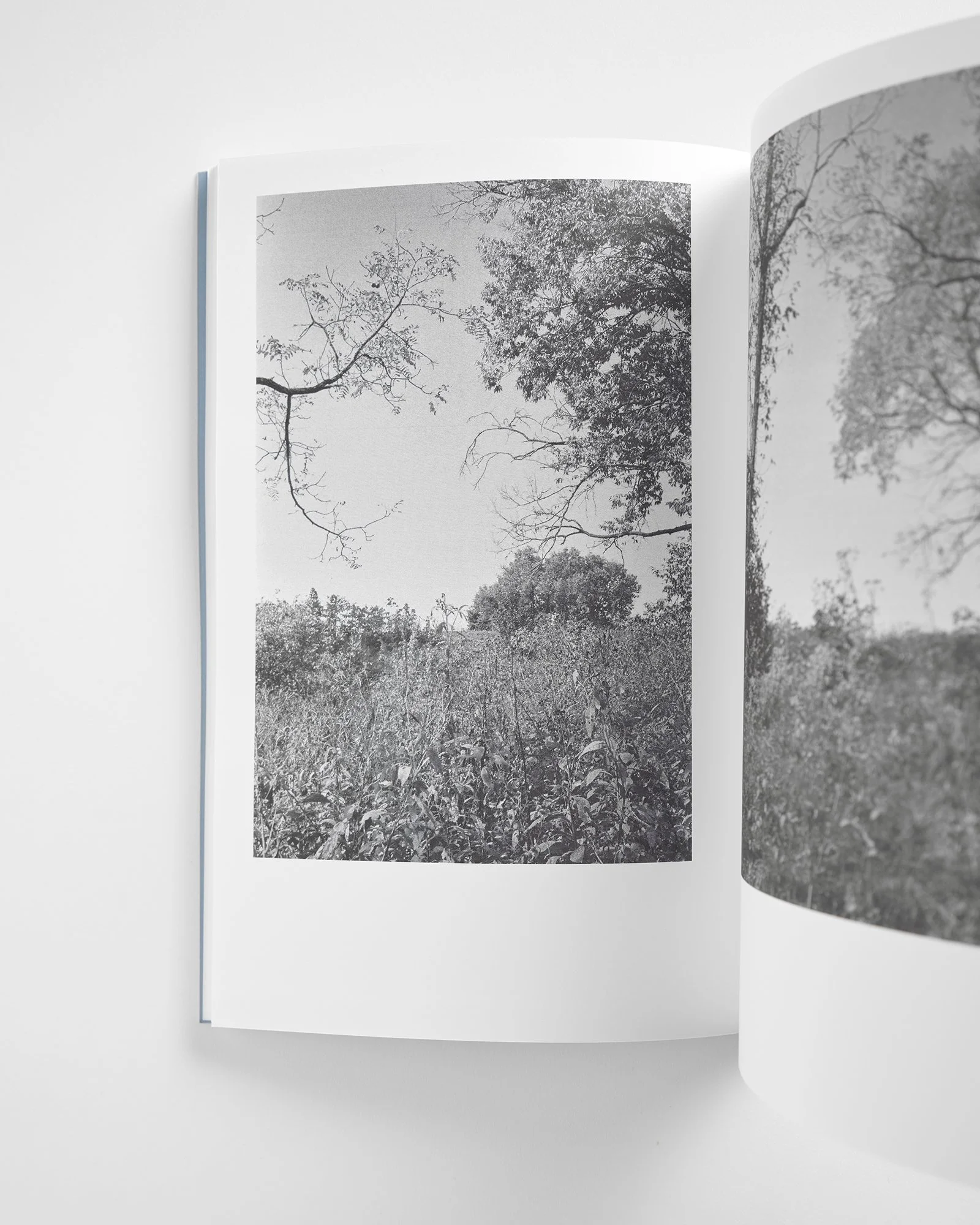Berg_Spring_Book_07 copy.jpg