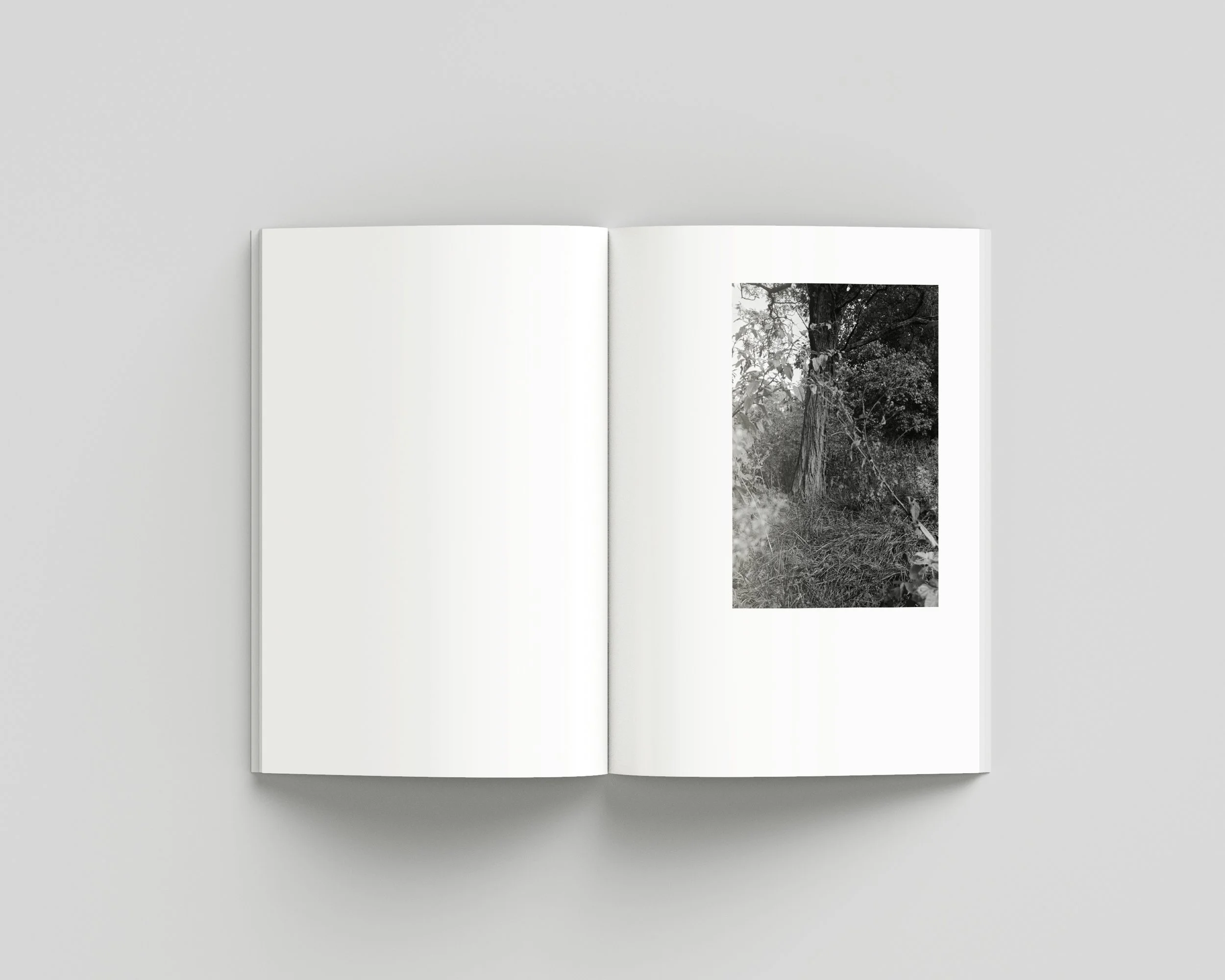 SUMMER_03_INNER copy.jpg