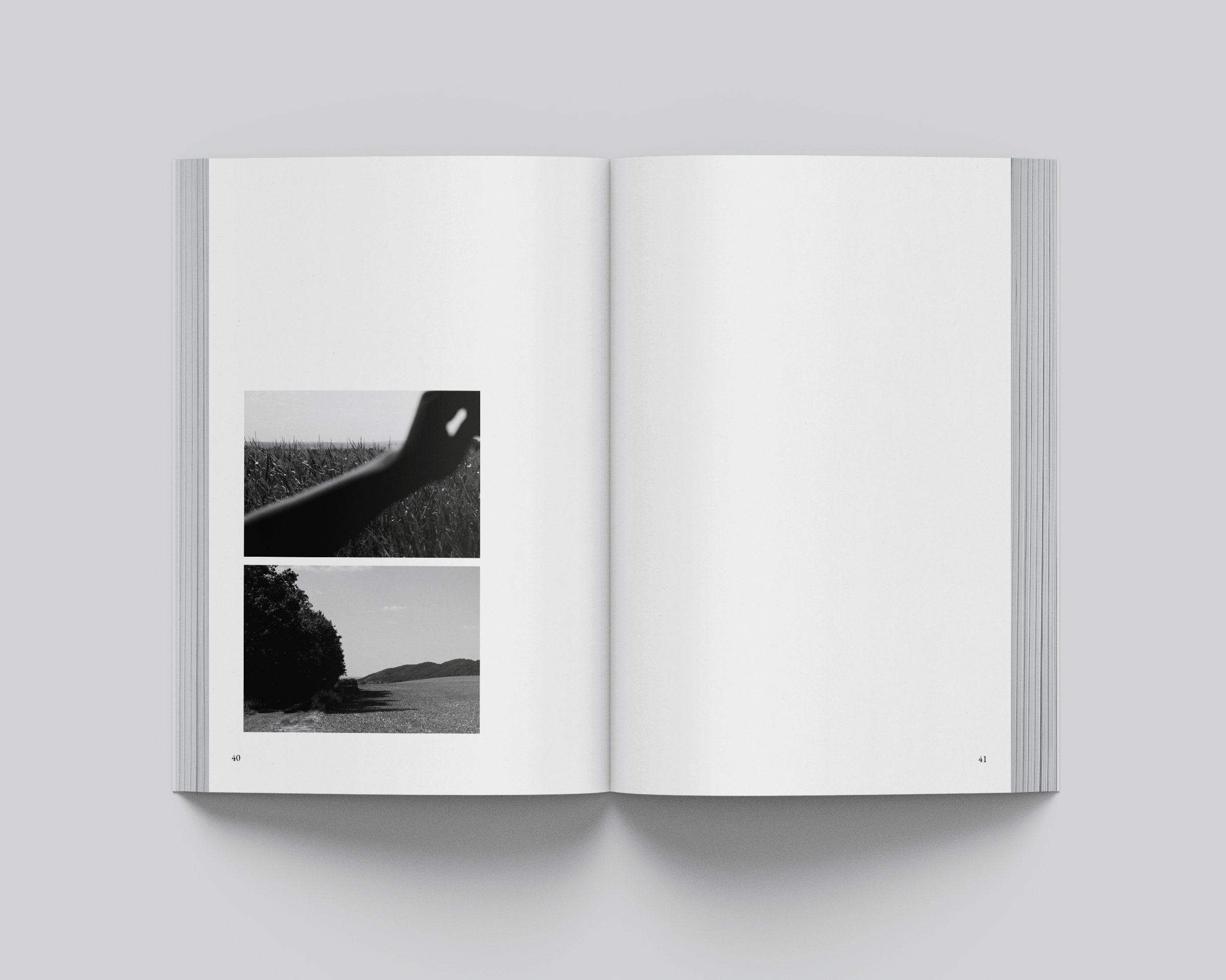 Digressions_Spread_40.41 copy.jpg