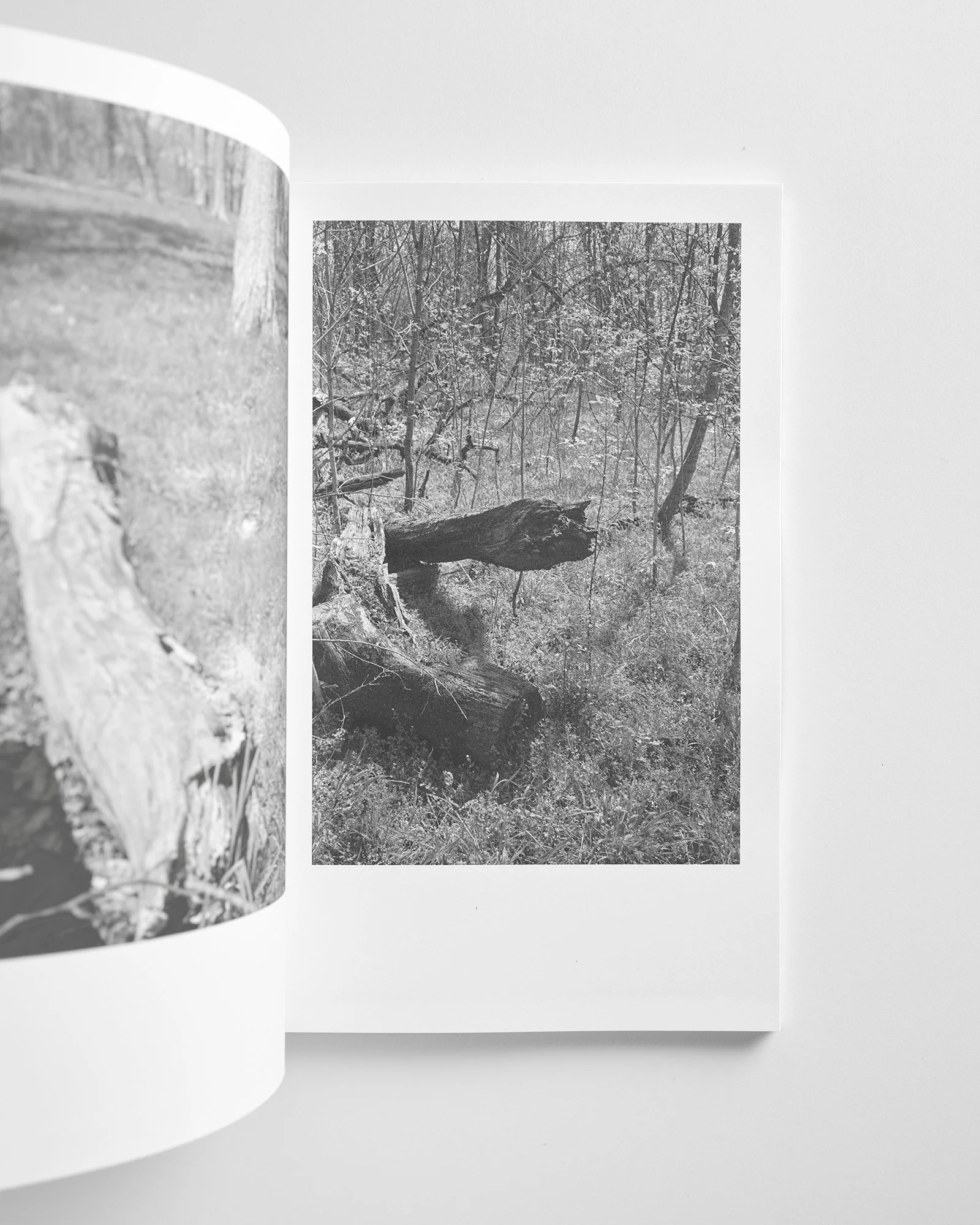 Berg_Spring_Book_03 copy.jpg