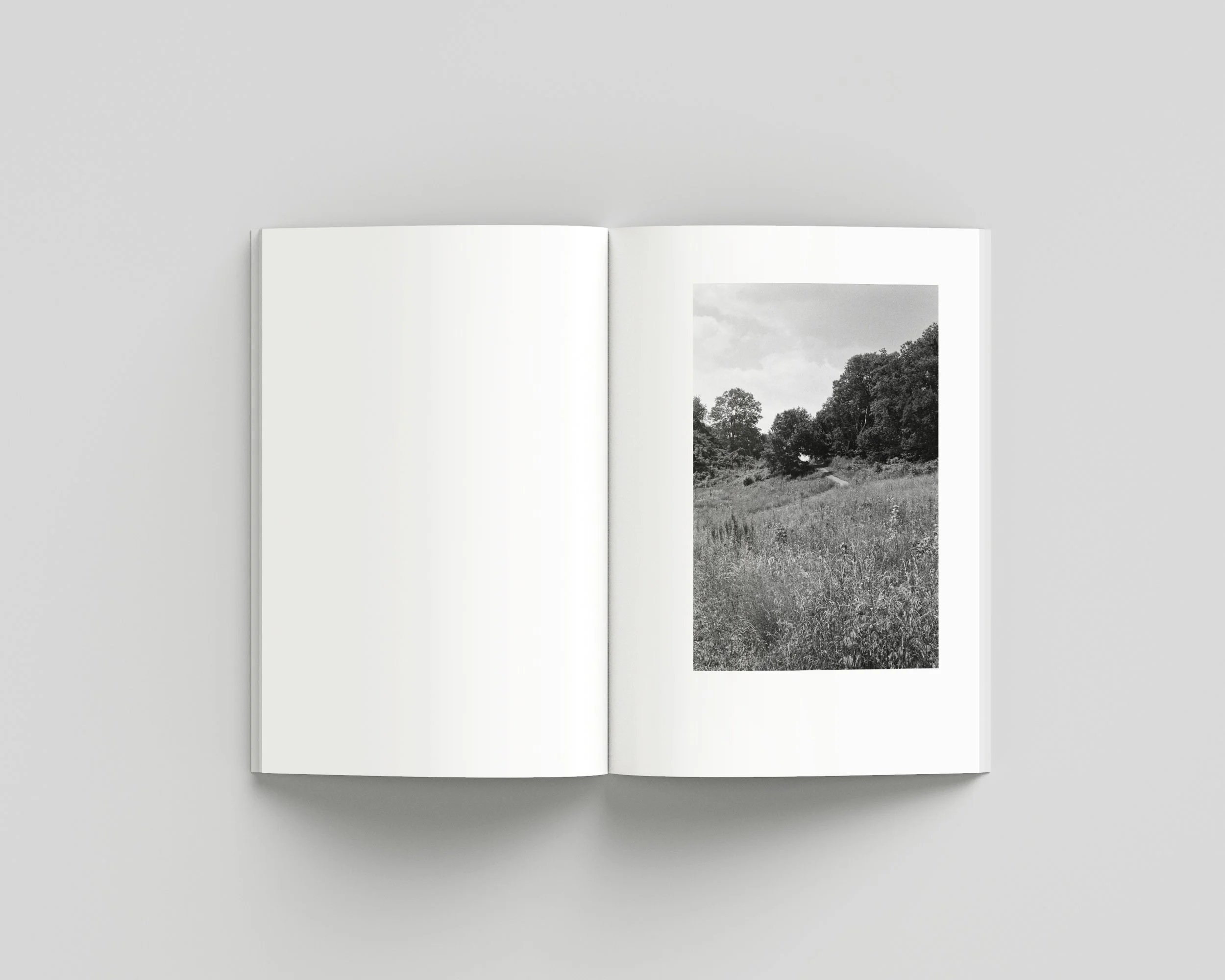 SUMMER_07_INNER copy.jpg