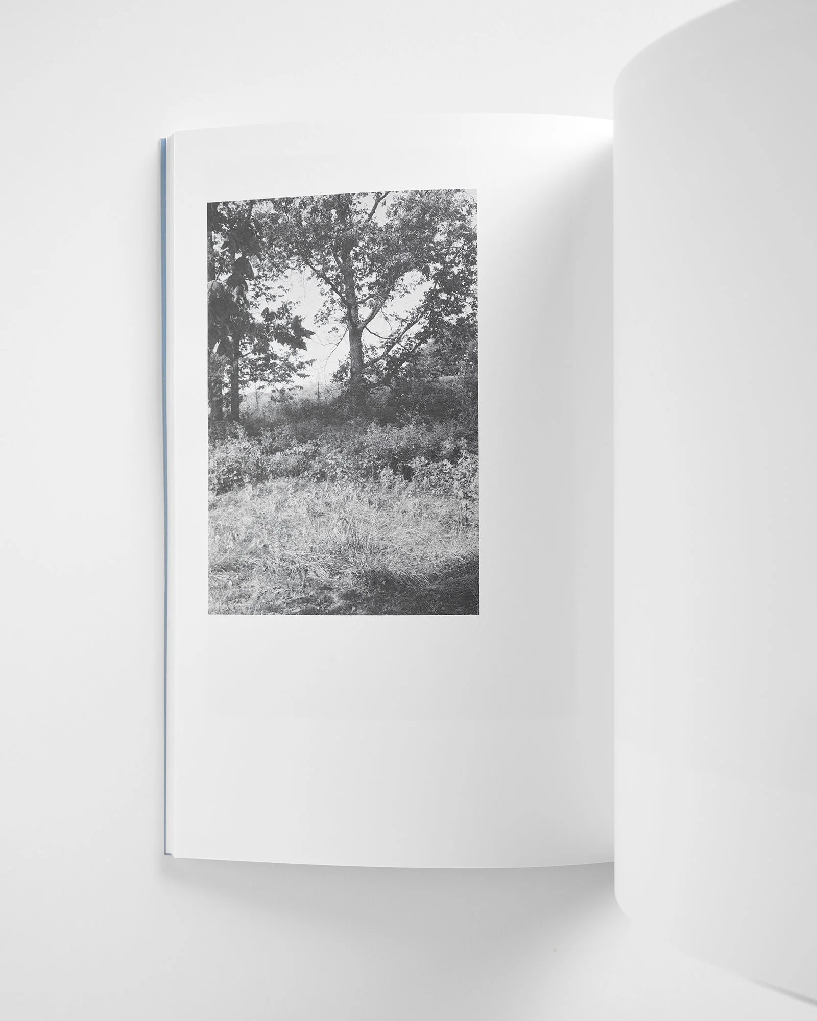 Berg_Spring_Book_06 copy.jpg