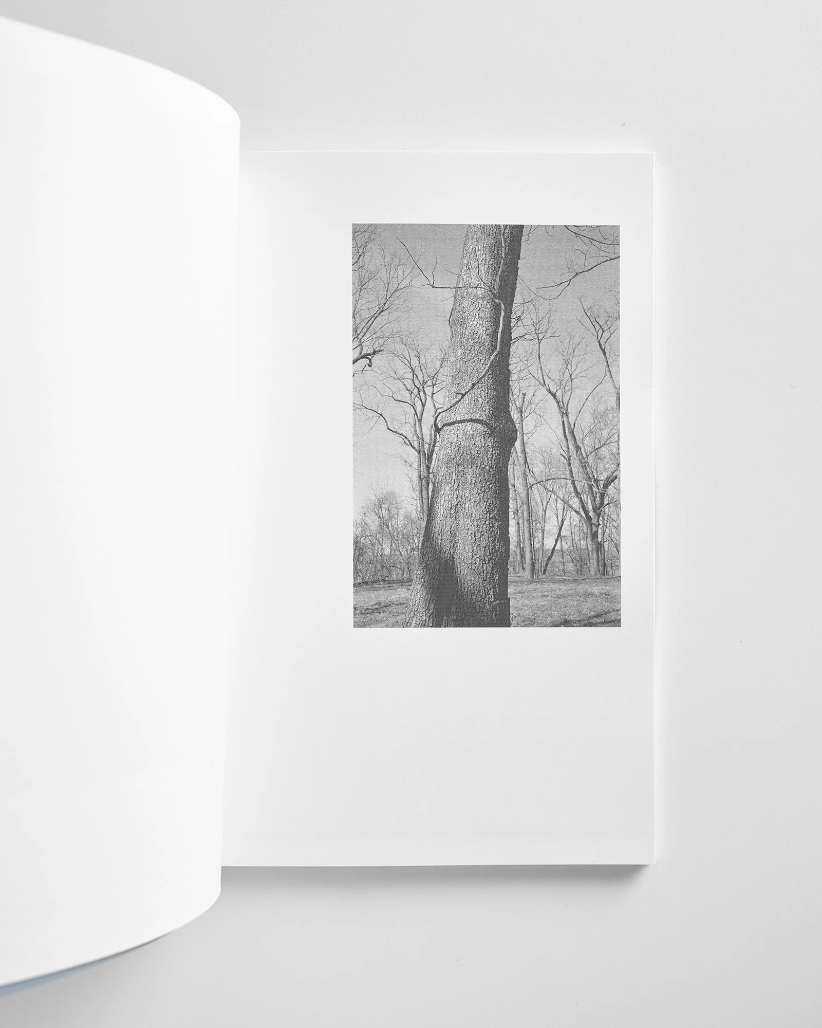 Berg_Spring_Book_02 copy.jpg