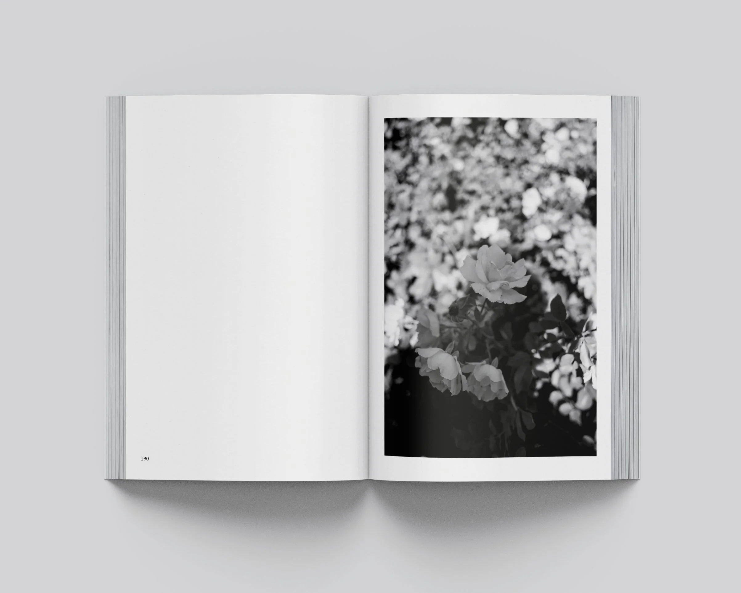 Digressions_Spread_190.191 copy.jpg