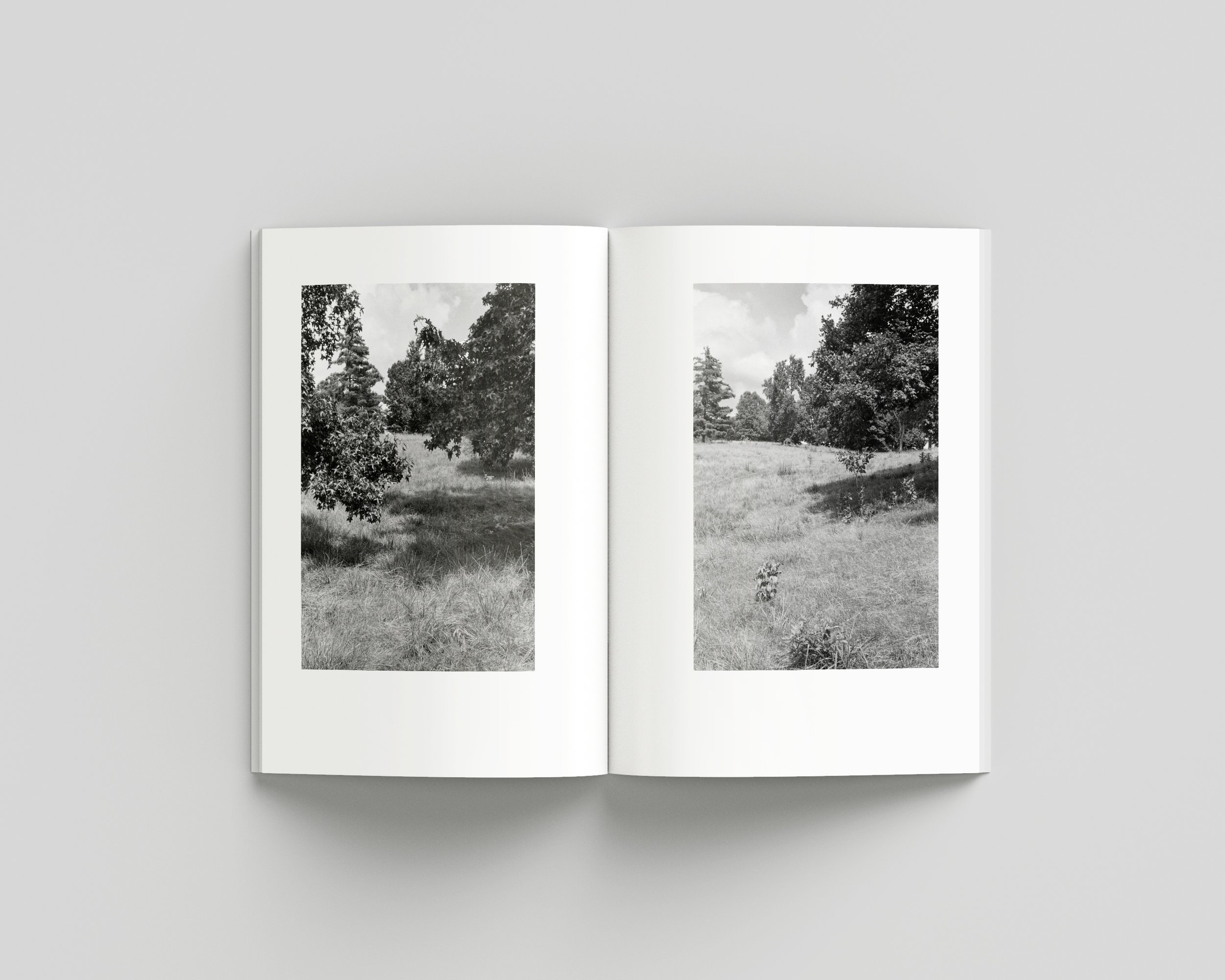 SUMMER_09_INNER copy.jpg