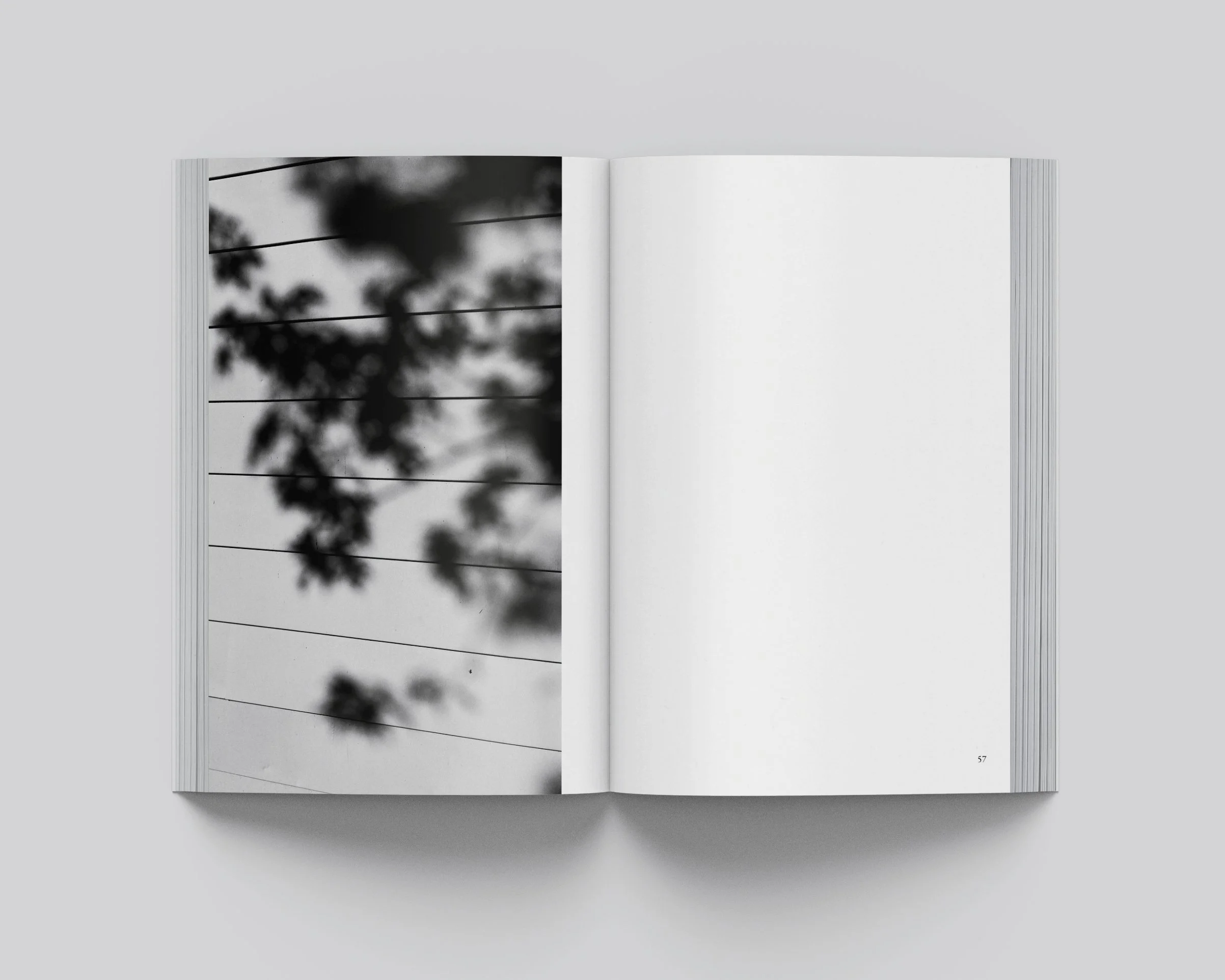 Digressions_Spread_56.57 copy.jpg